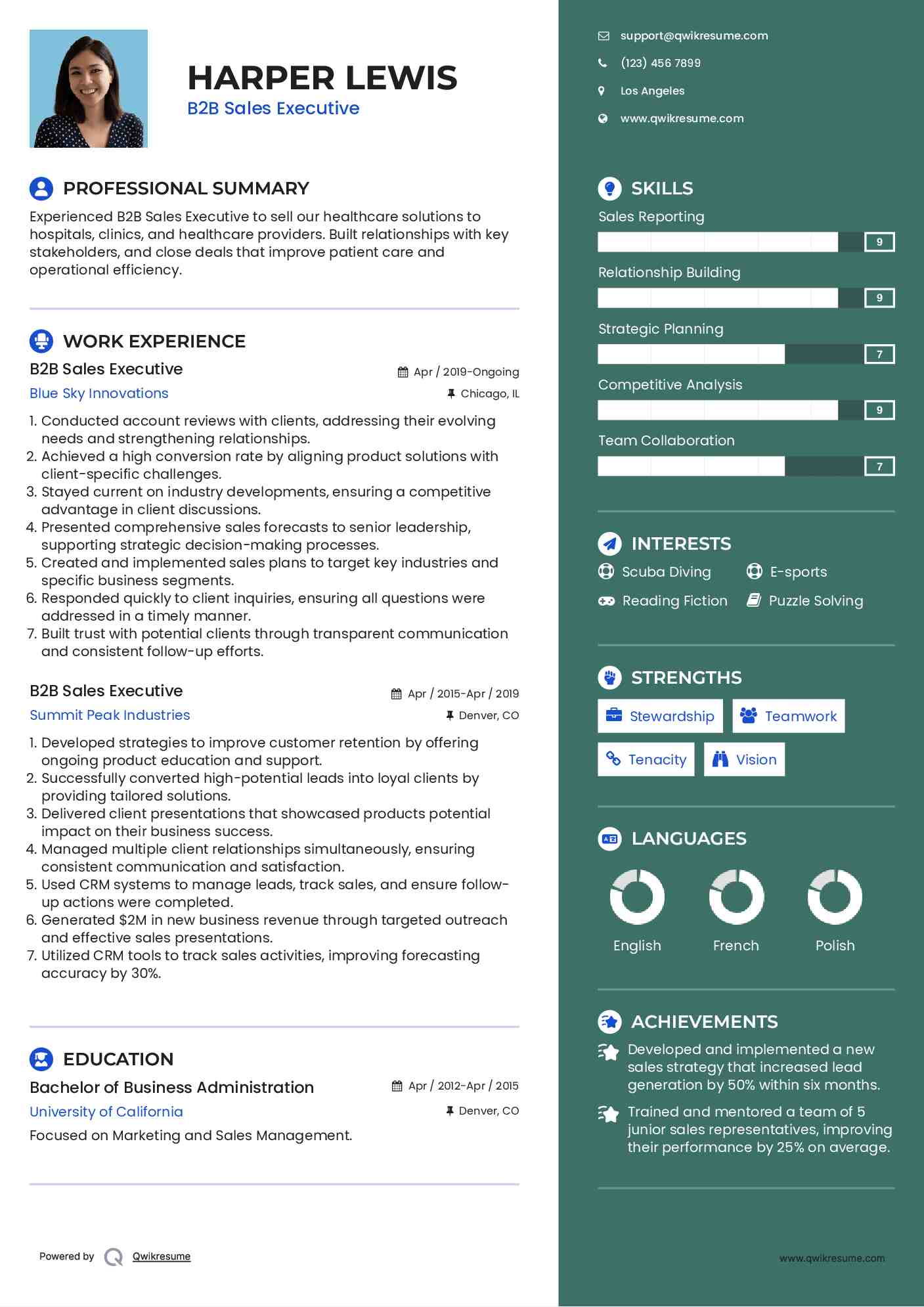 B2B Sales Executive Resume Format
