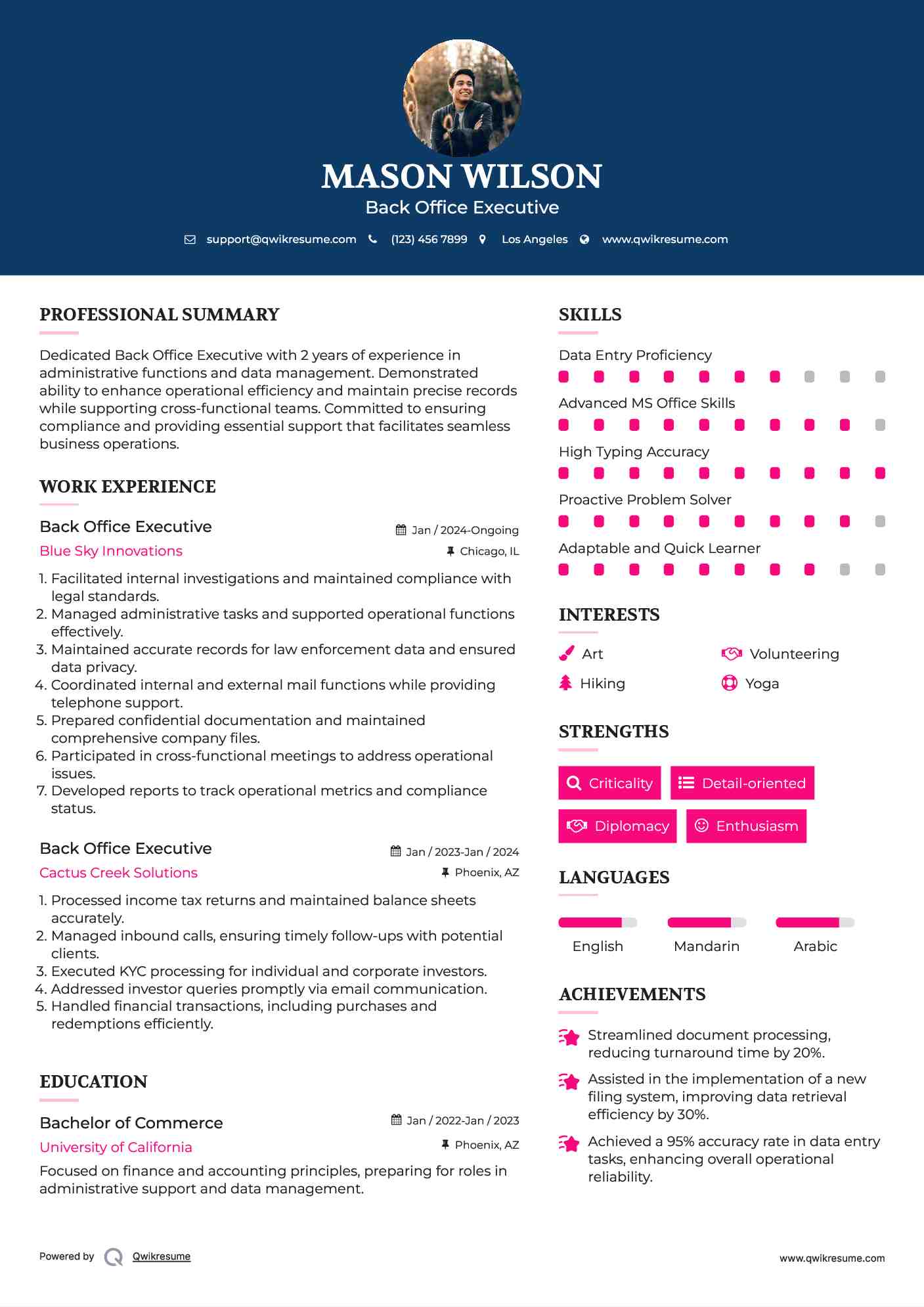 Back Office Executive Resume Example