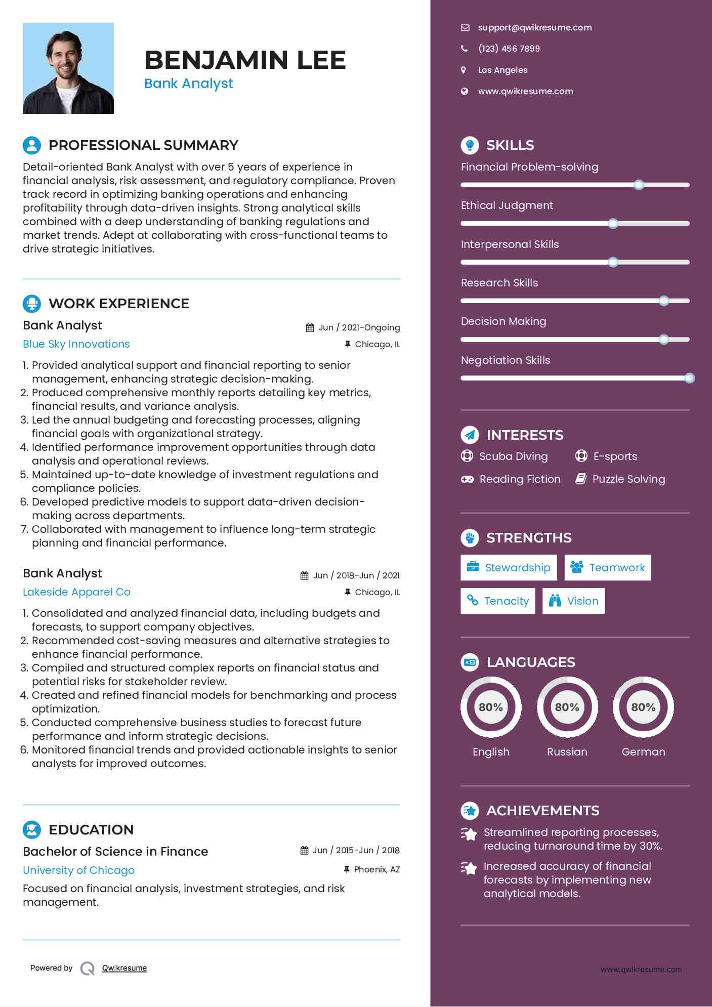 Bank Analyst Resume Example