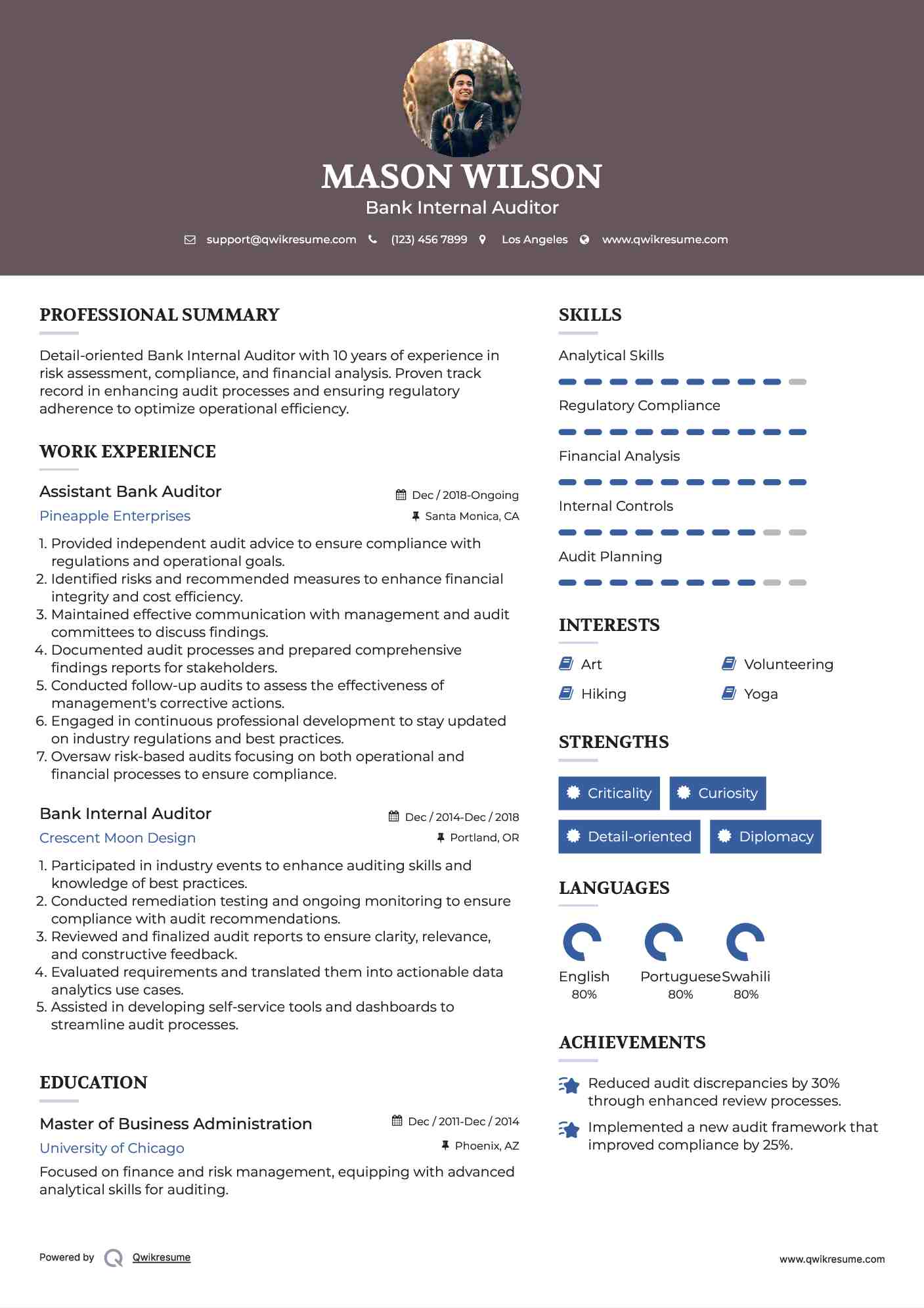 Assistant Bank Auditor Resume Template