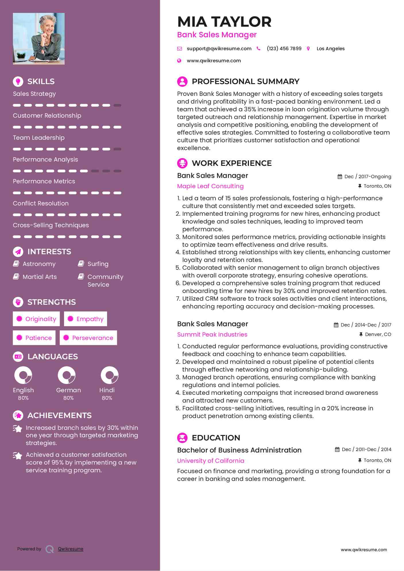 Bank Sales Manager Resume Model