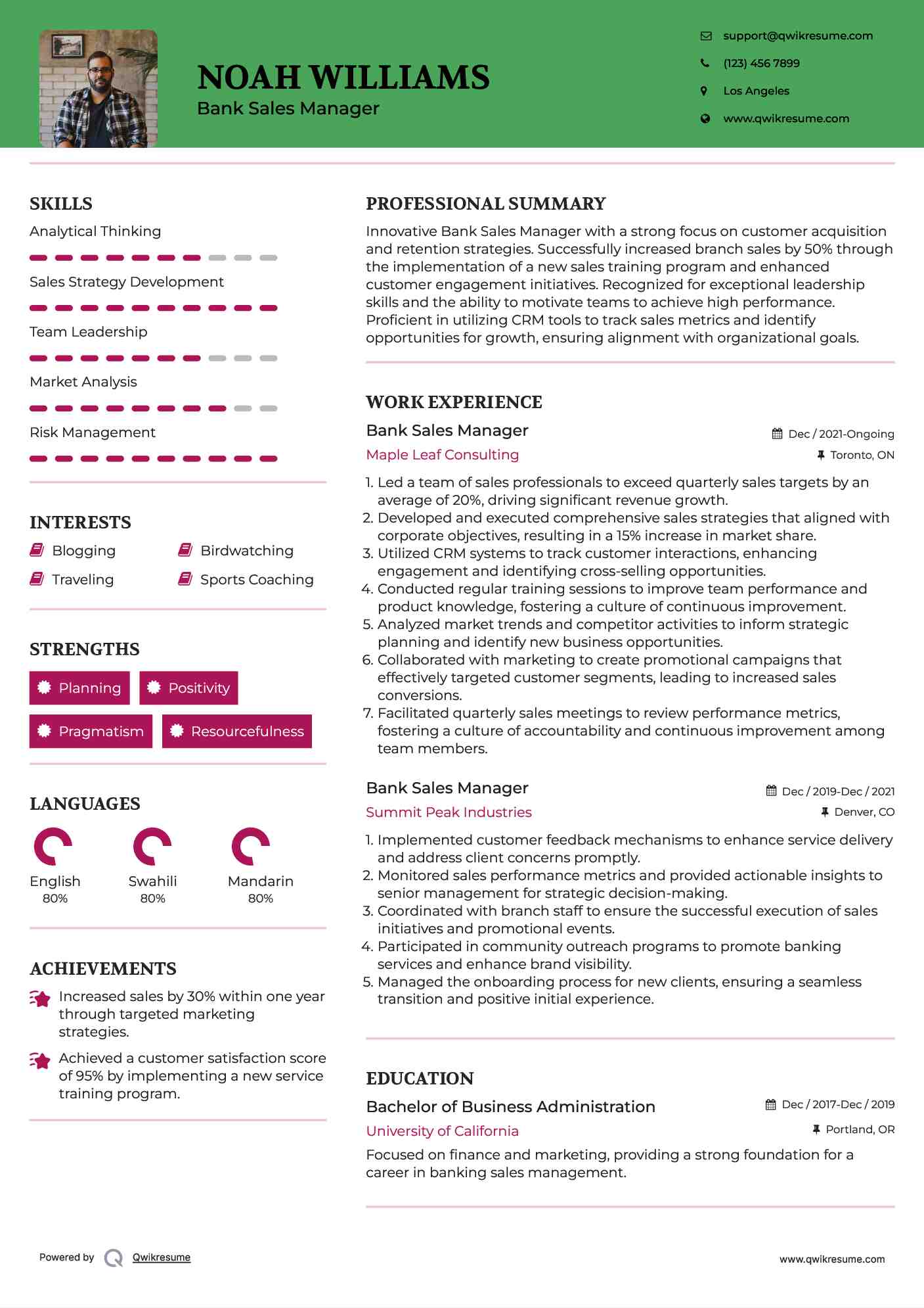 Bank Sales Manager Resume Model