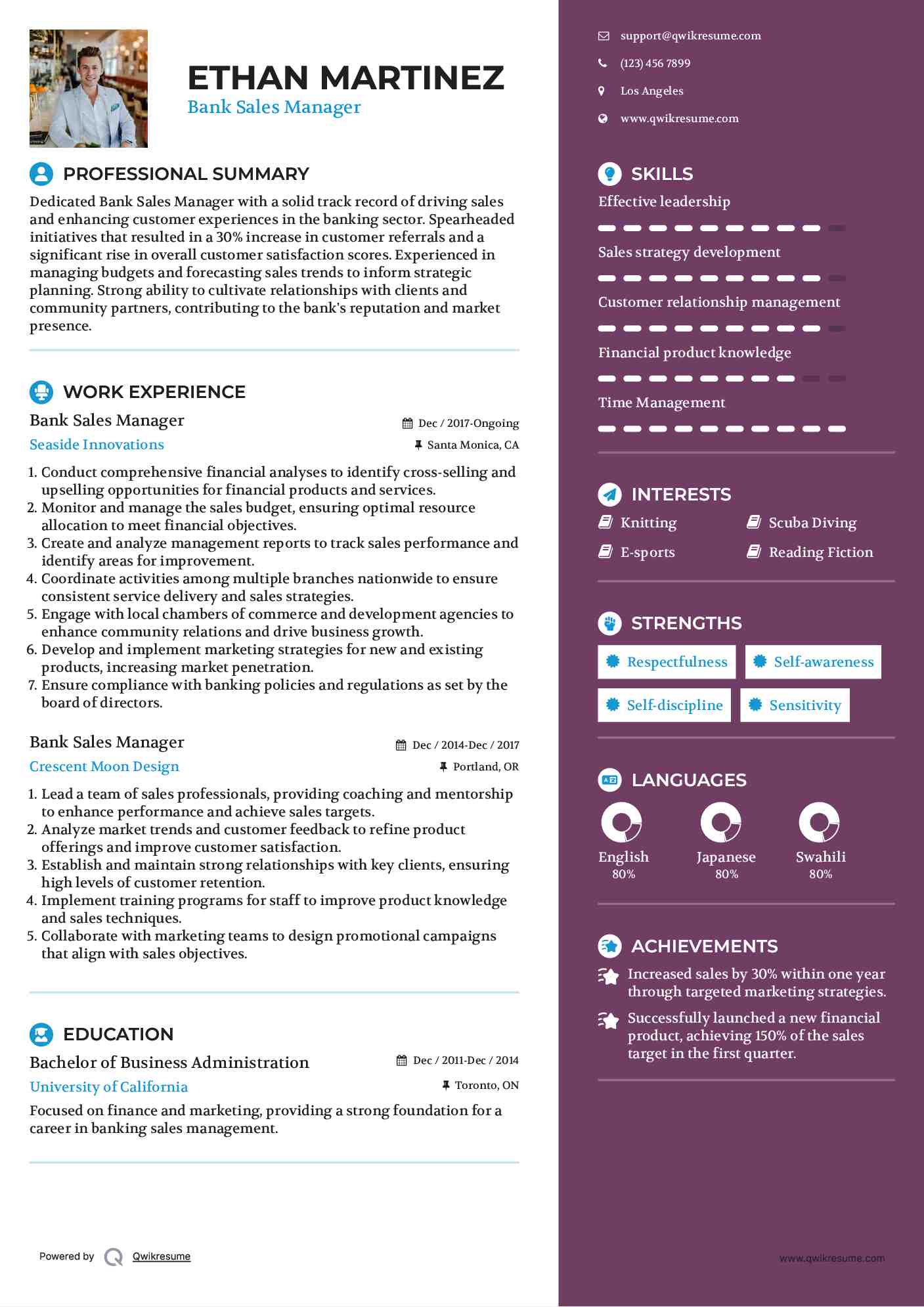 Bank Sales Manager Resume Example