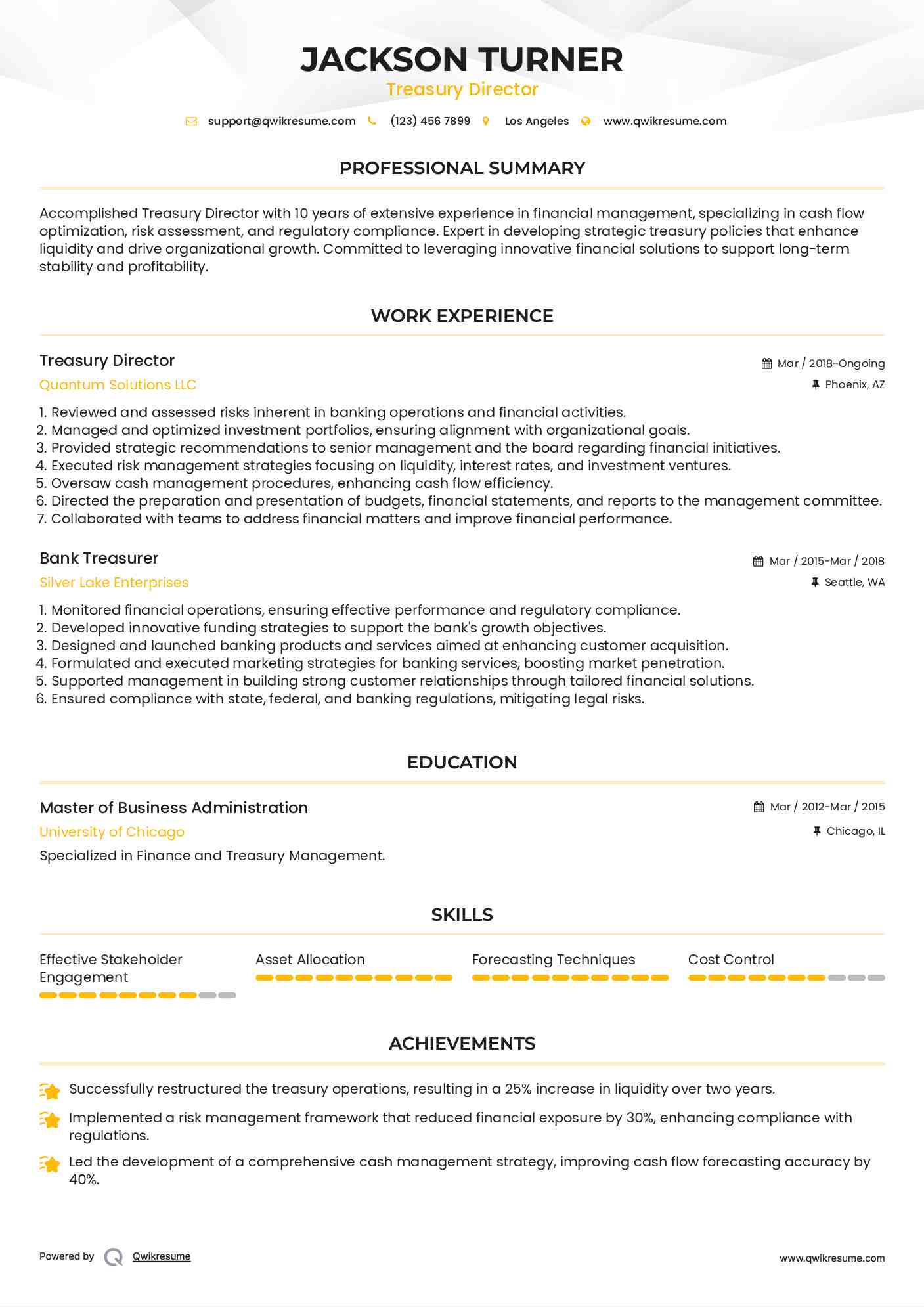 Treasury Director Resume Example