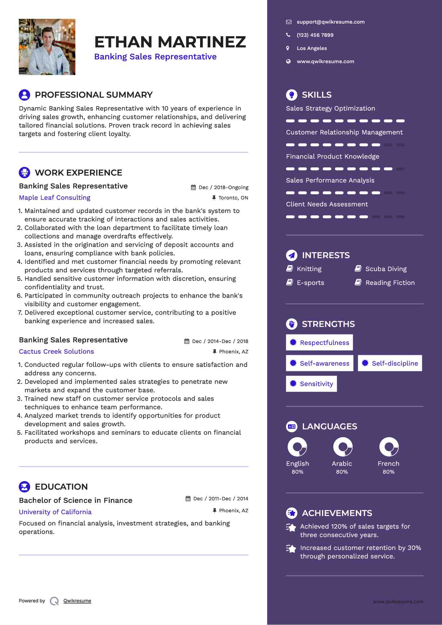 Banking Sales Representative Resume Example