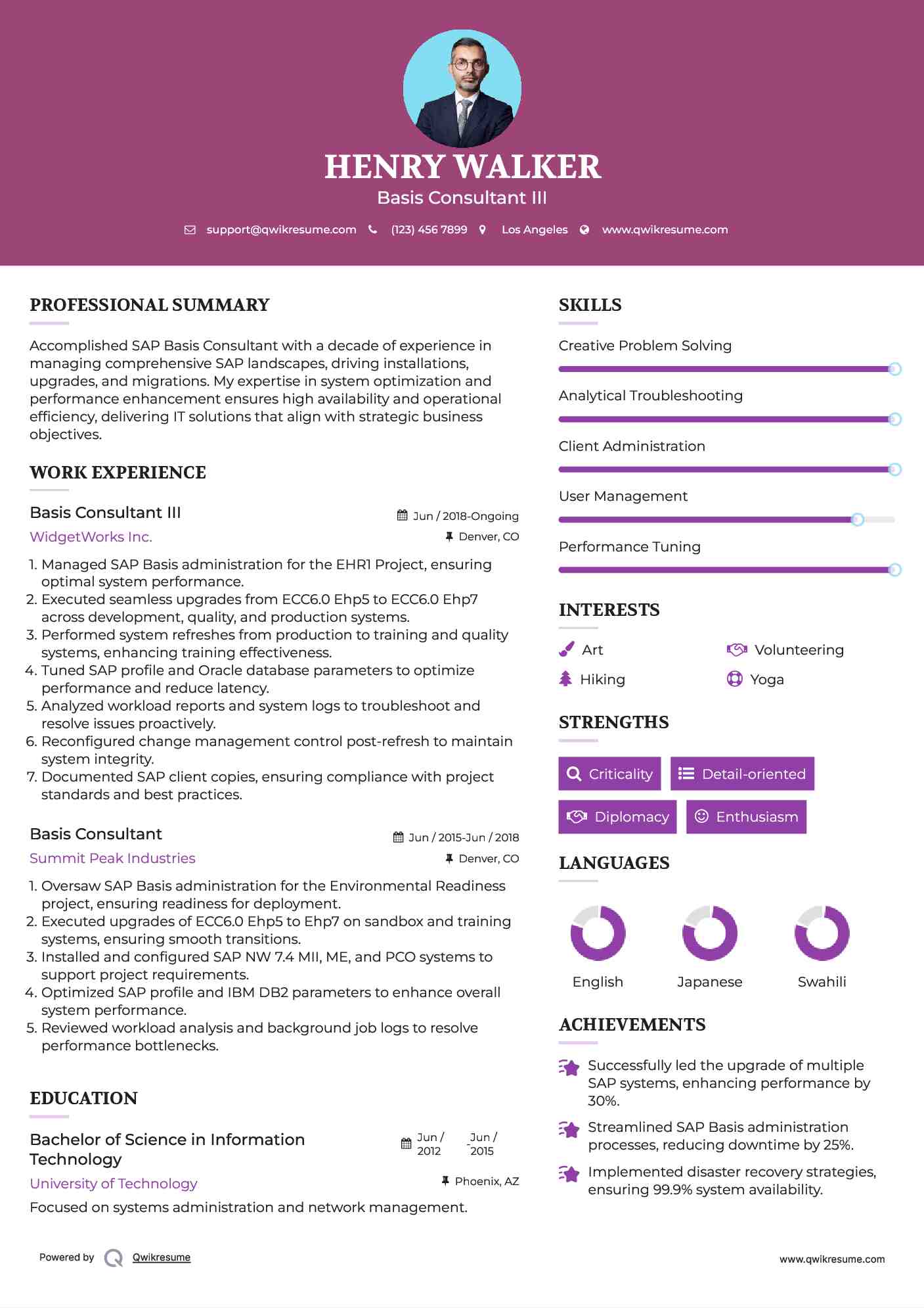 Basis Consultant III Resume Model