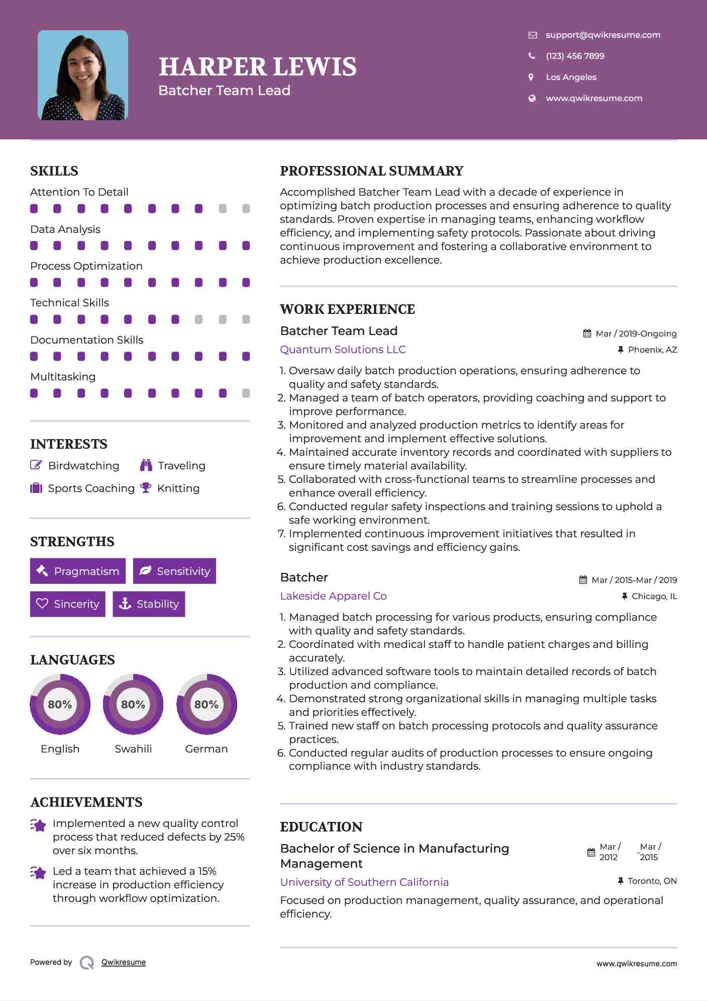 Batcher Team Lead Resume Template