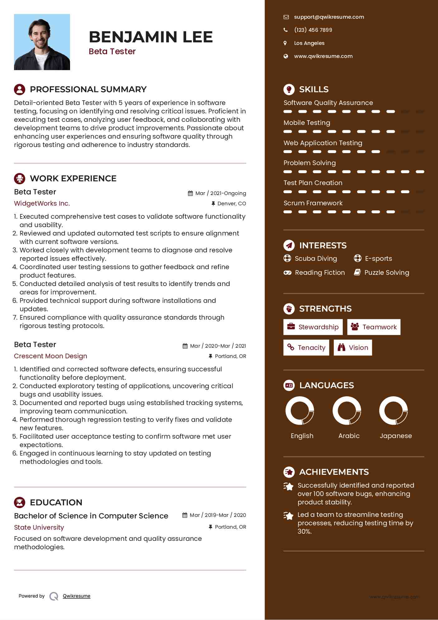 Beta Tester Resume Sample