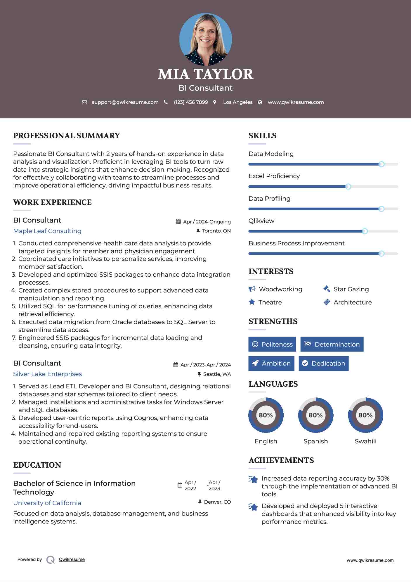 BI Consultant Resume Sample