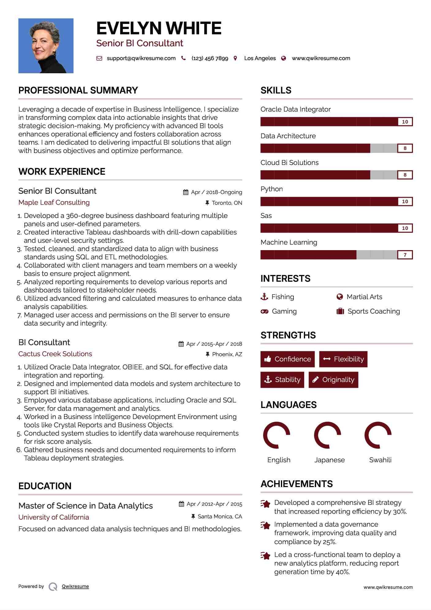 Senior BI Consultant Resume Model