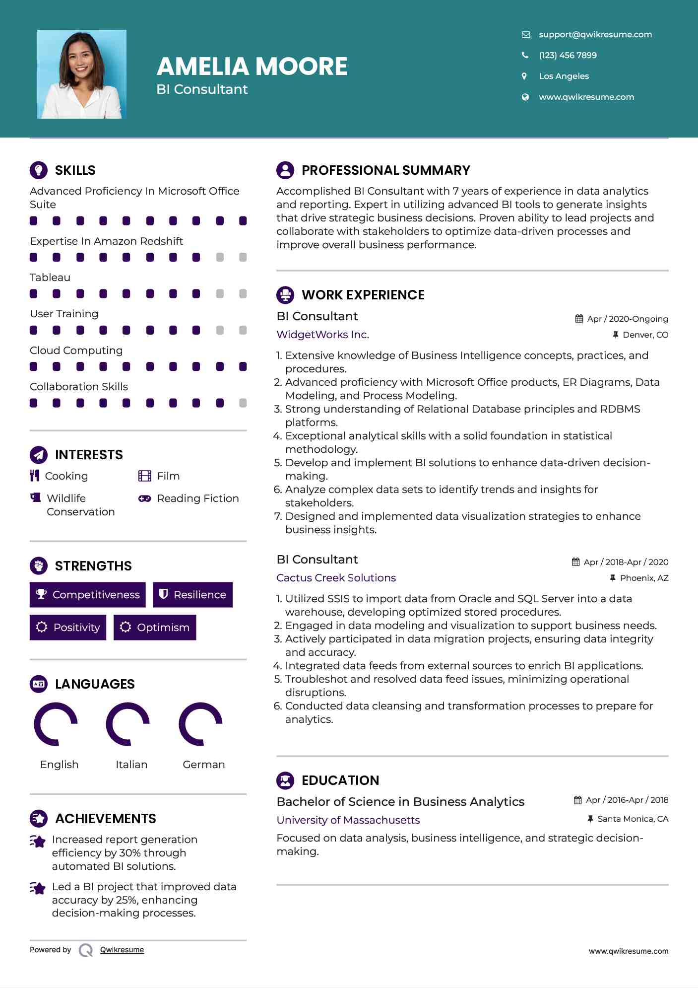 BI Consultant Resume Format