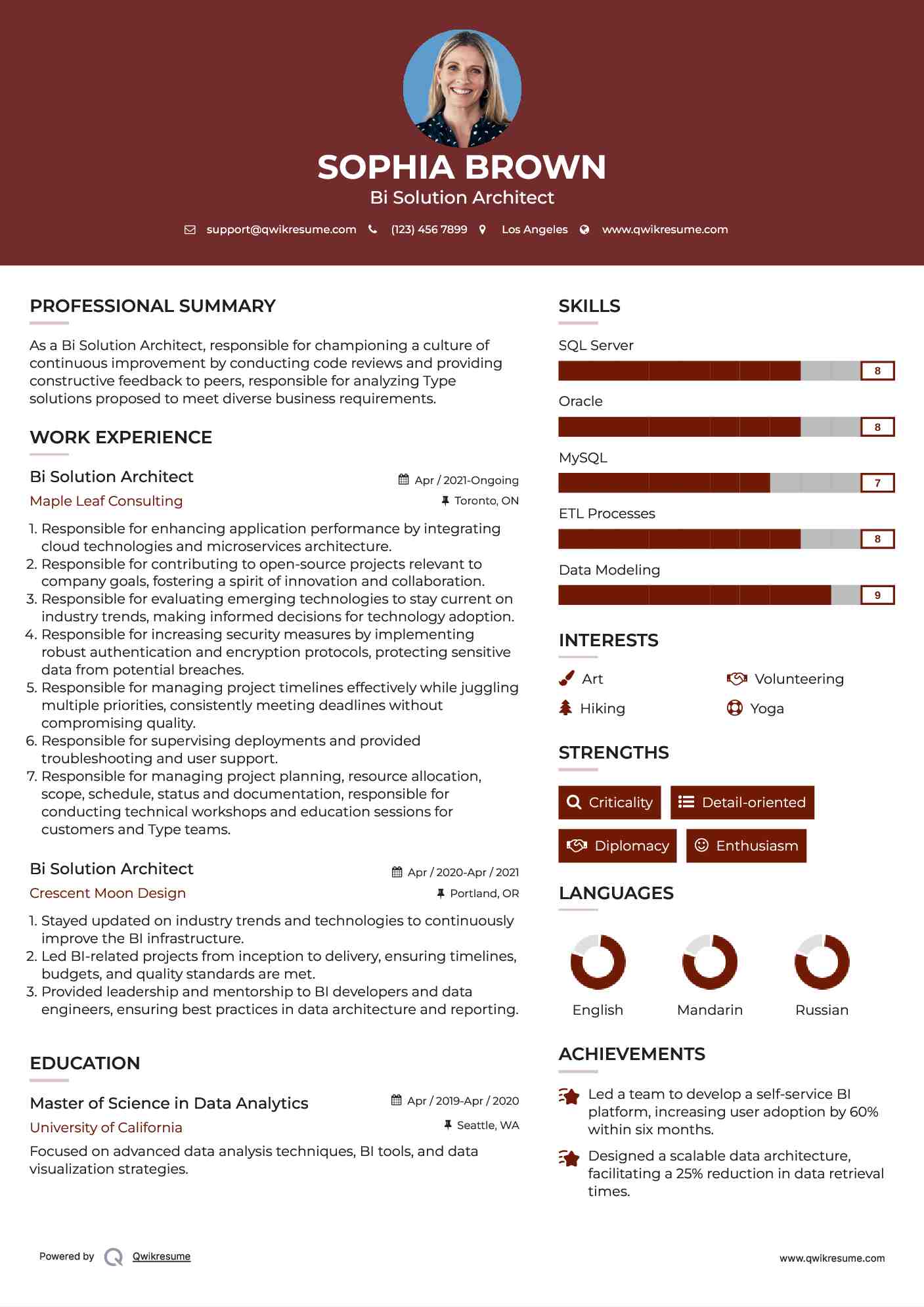 Bi Solution Architect Resume Model
