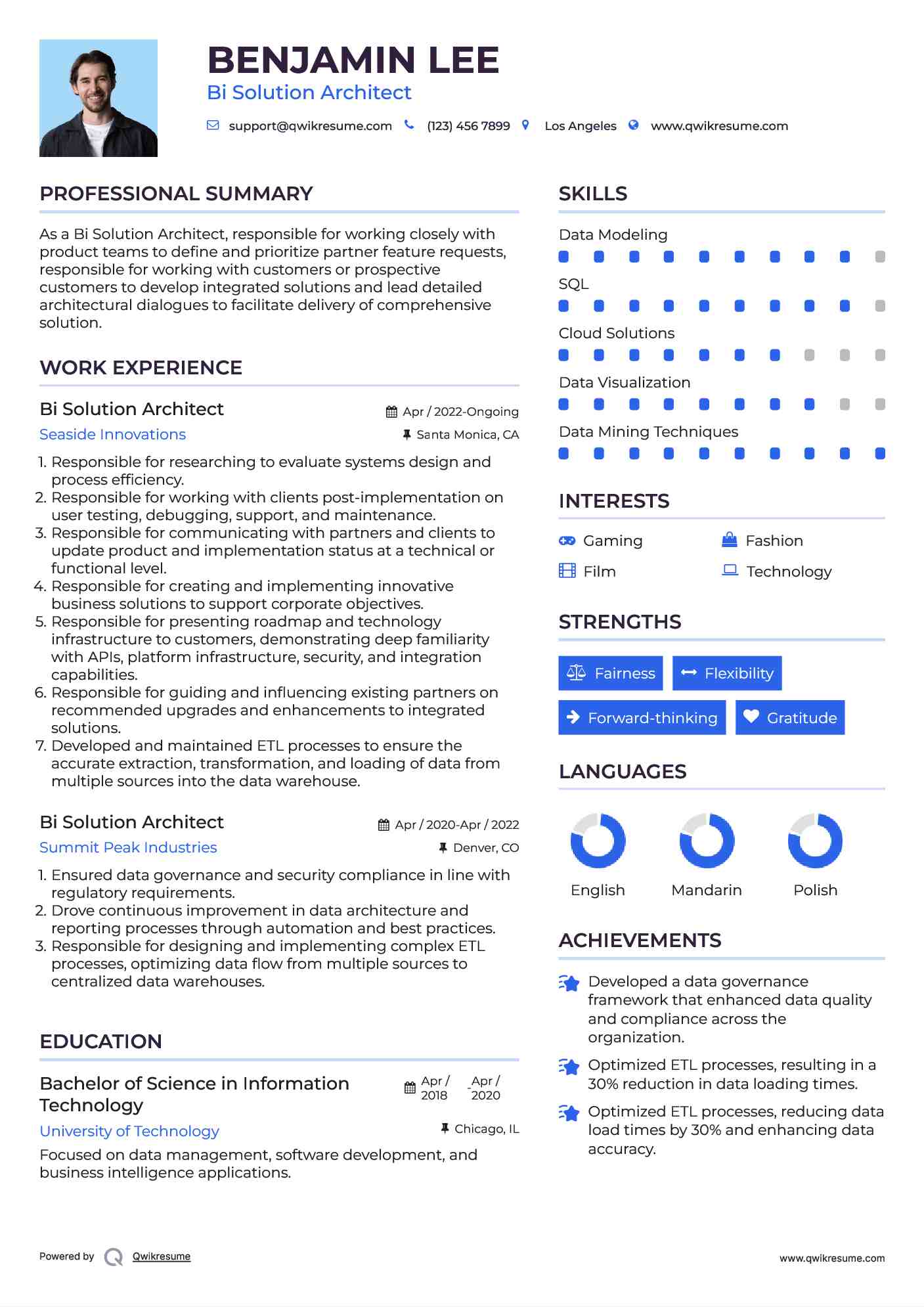 Bi Solution Architect Resume Format