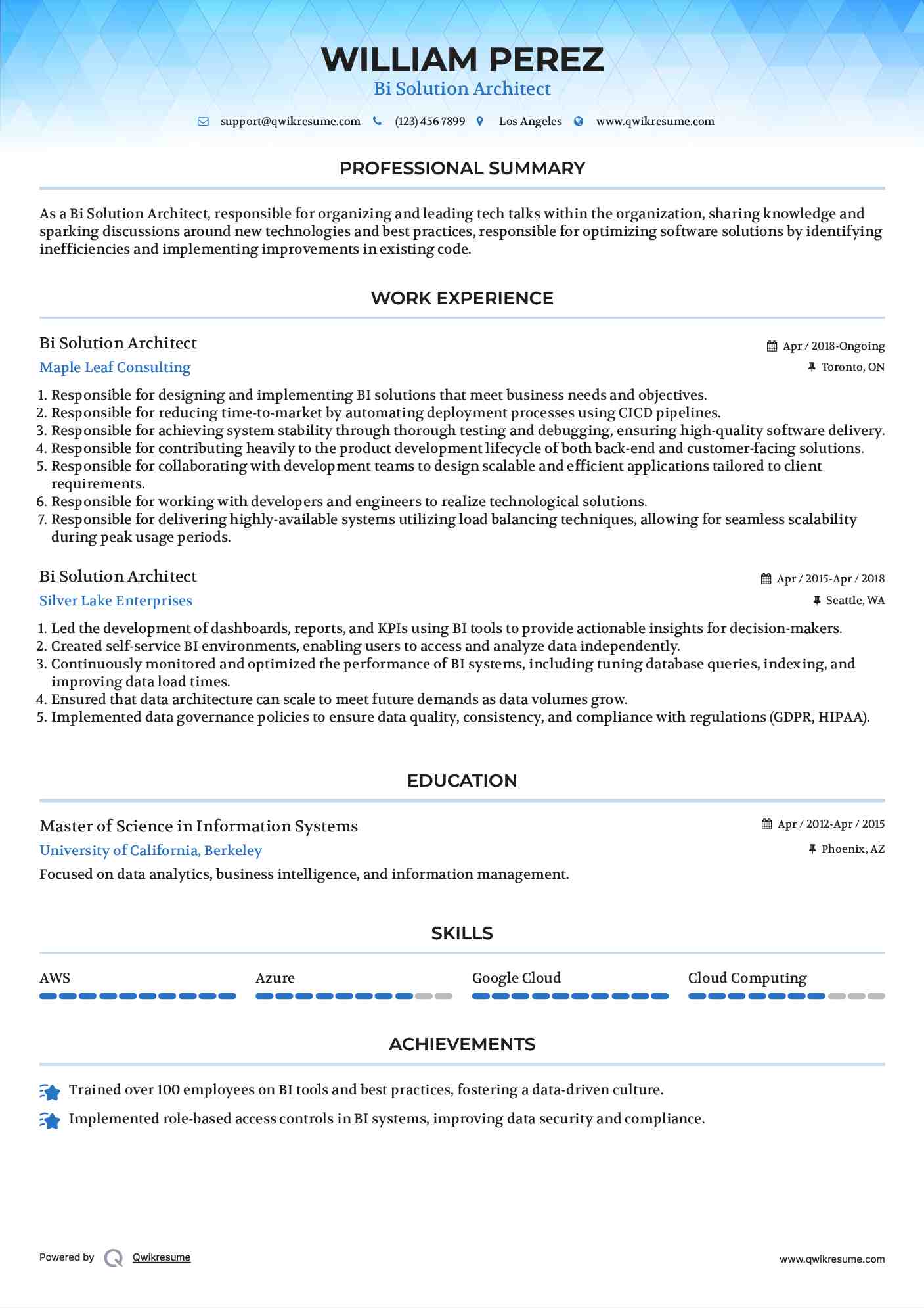 Bi Solution Architect Resume Format