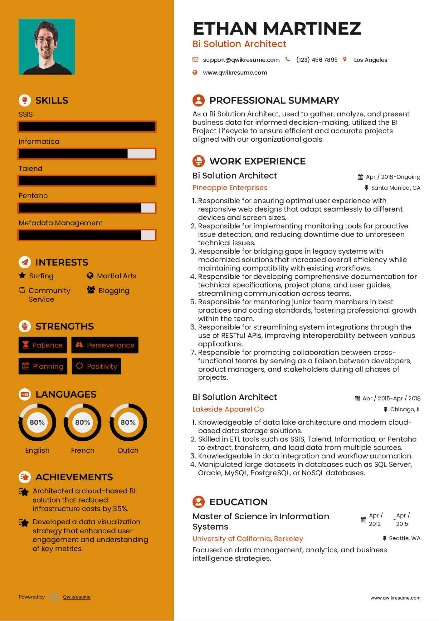 Bi Solution Architect Resume Format