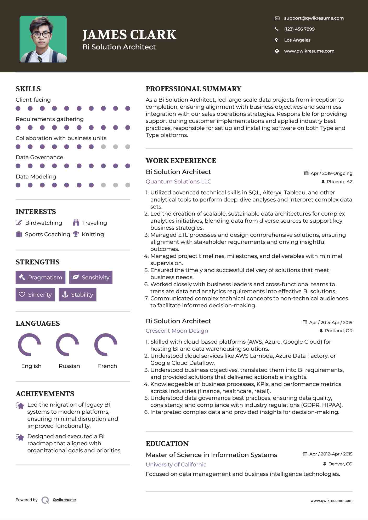 Bi Solution Architect Resume Sample