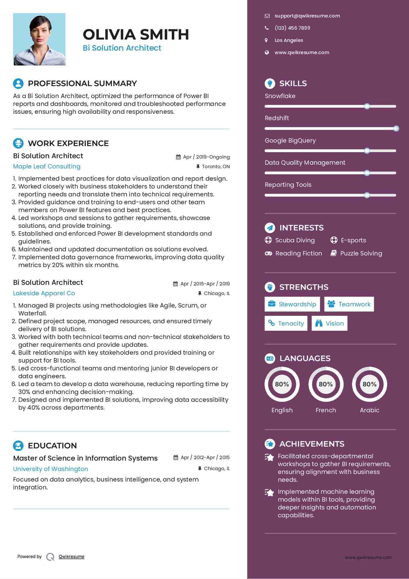 Bi Solution Architect Resume Sample