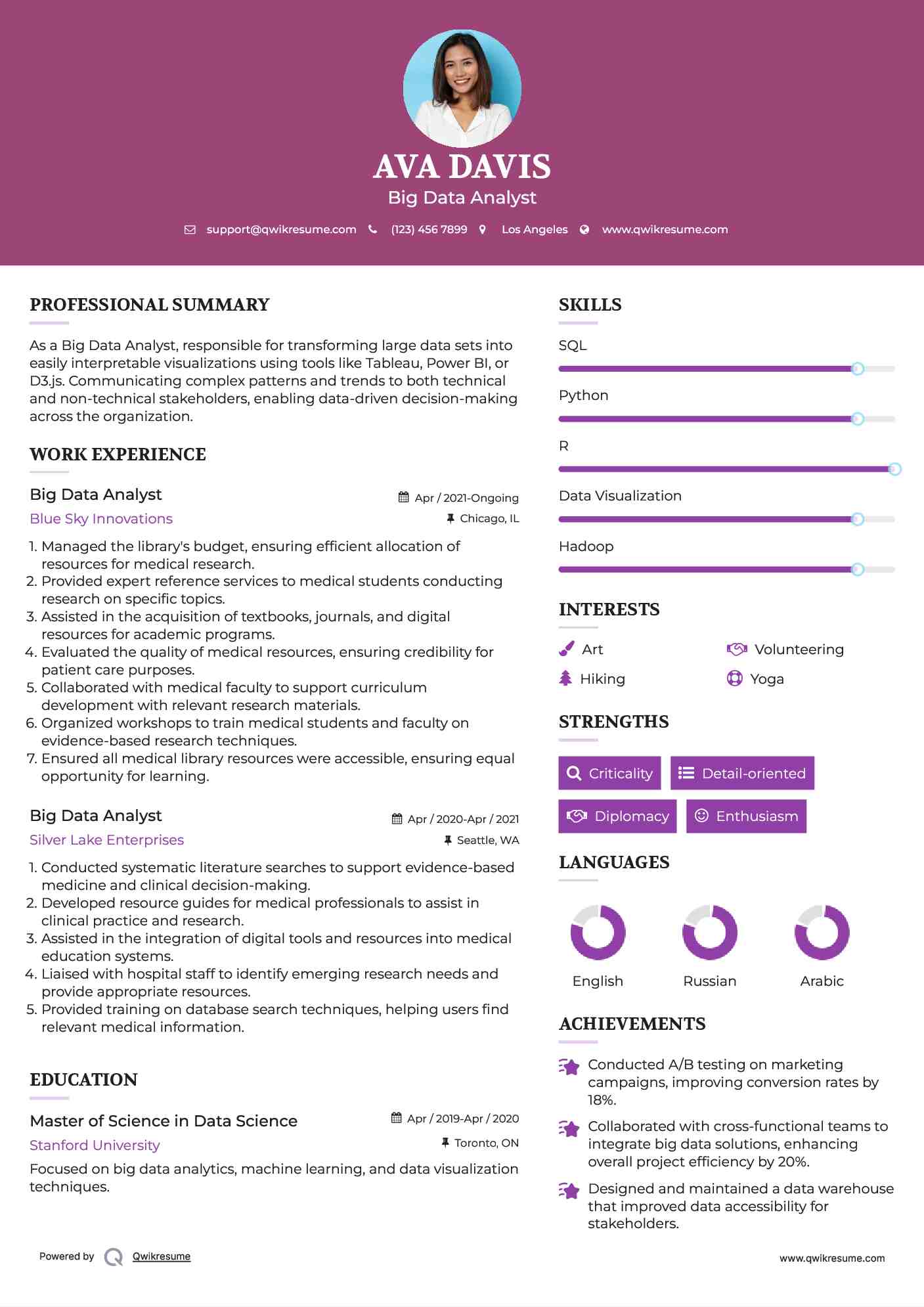Big Data Analyst Resume Model
