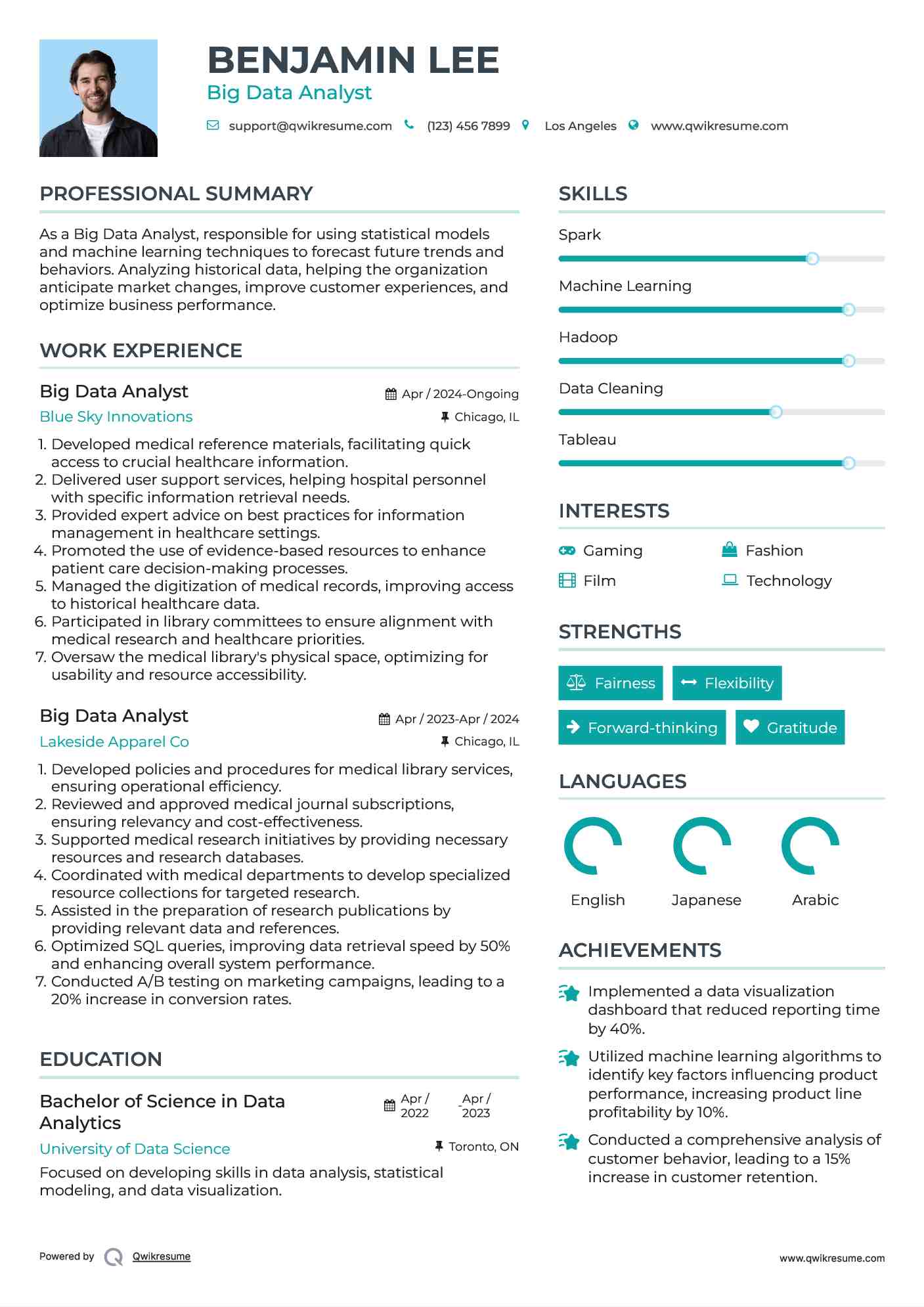 Big Data Analyst Resume Sample