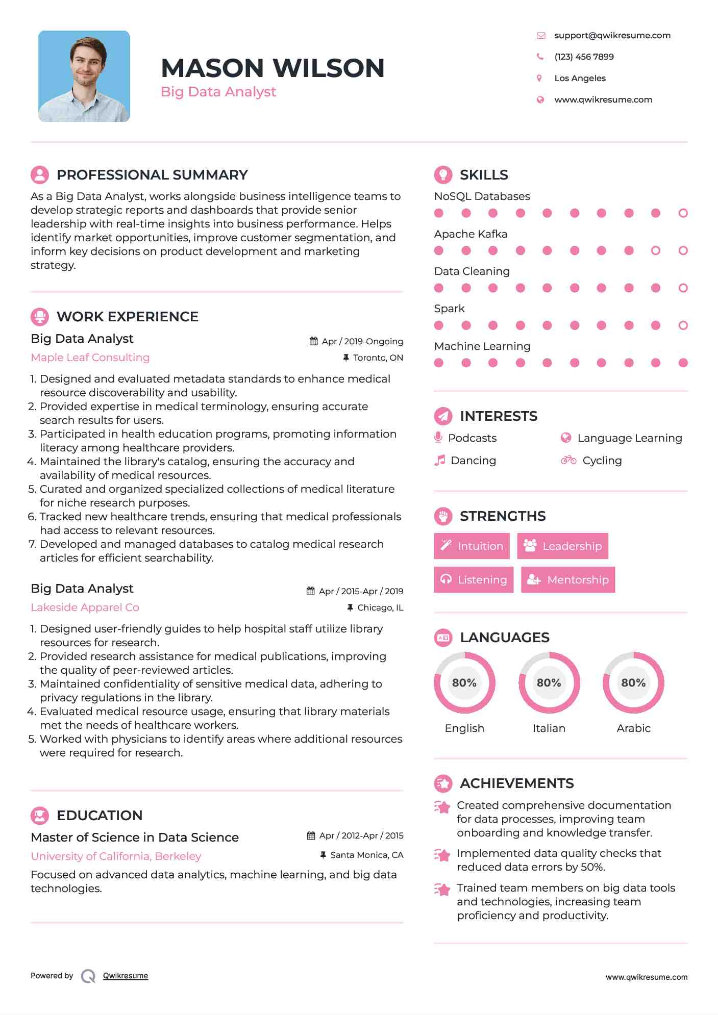 Big Data Analyst Resume Template