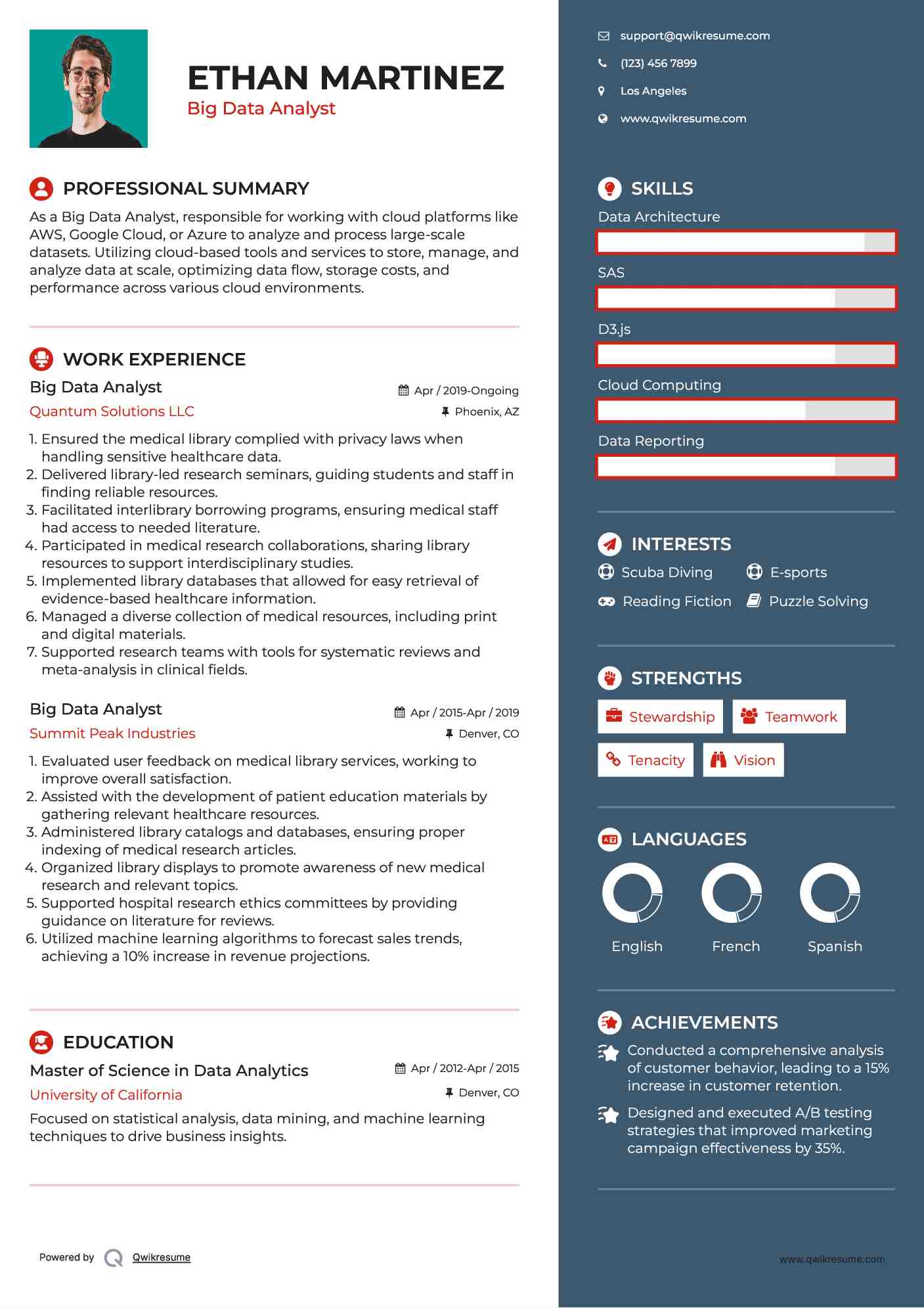 Big Data Analyst Resume Example