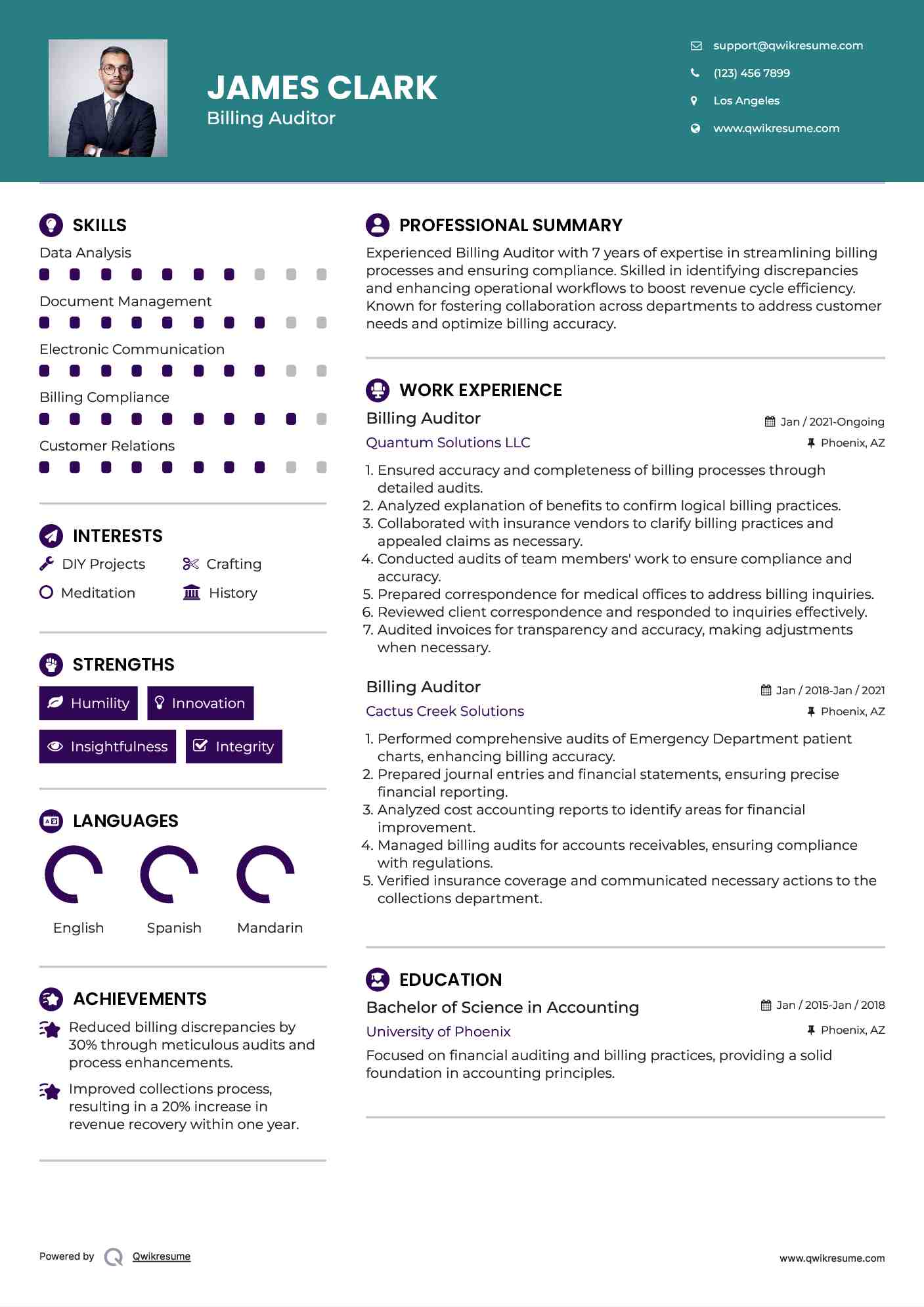 Billing Auditor Resume Sample