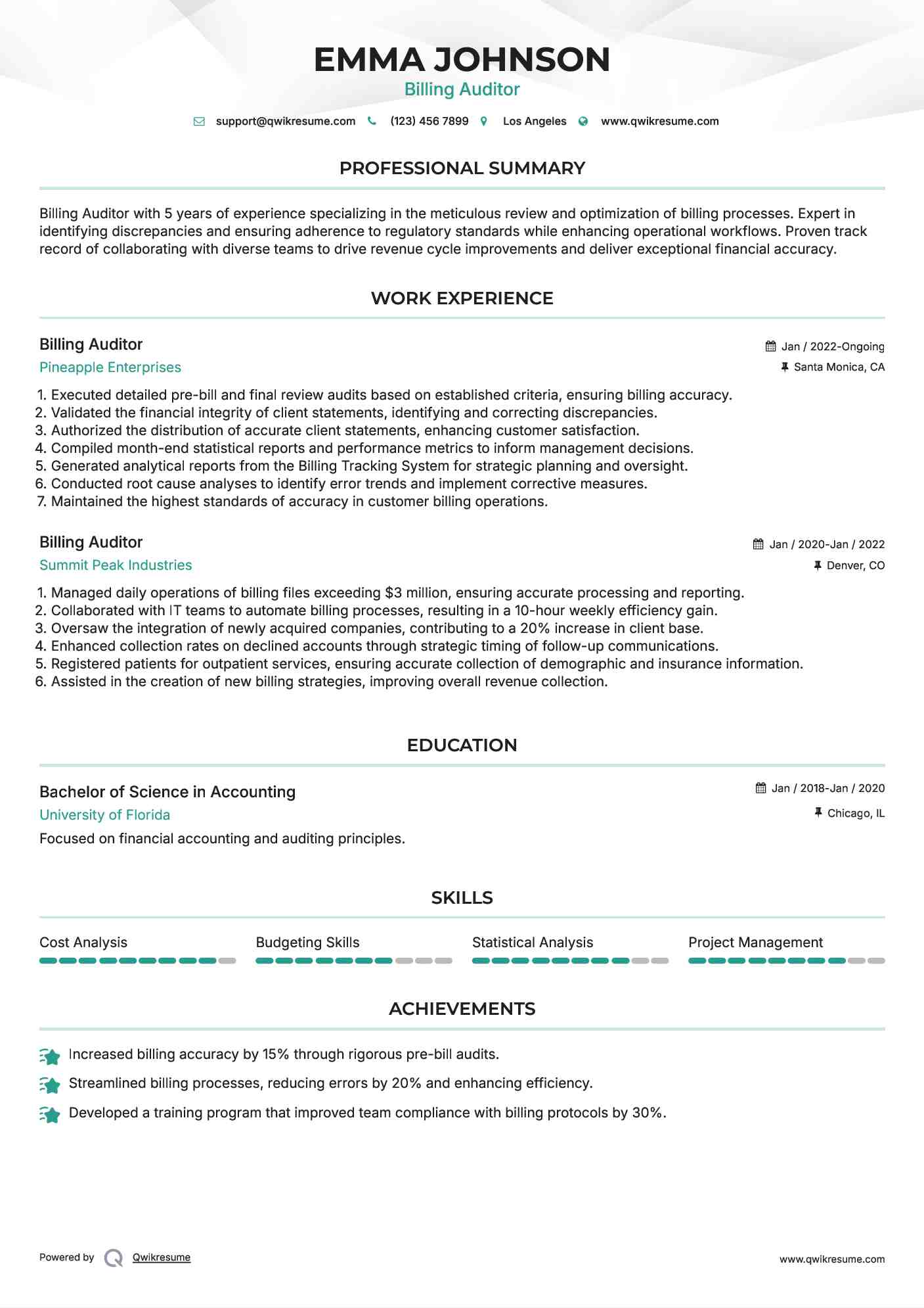 Billing Auditor Resume Model