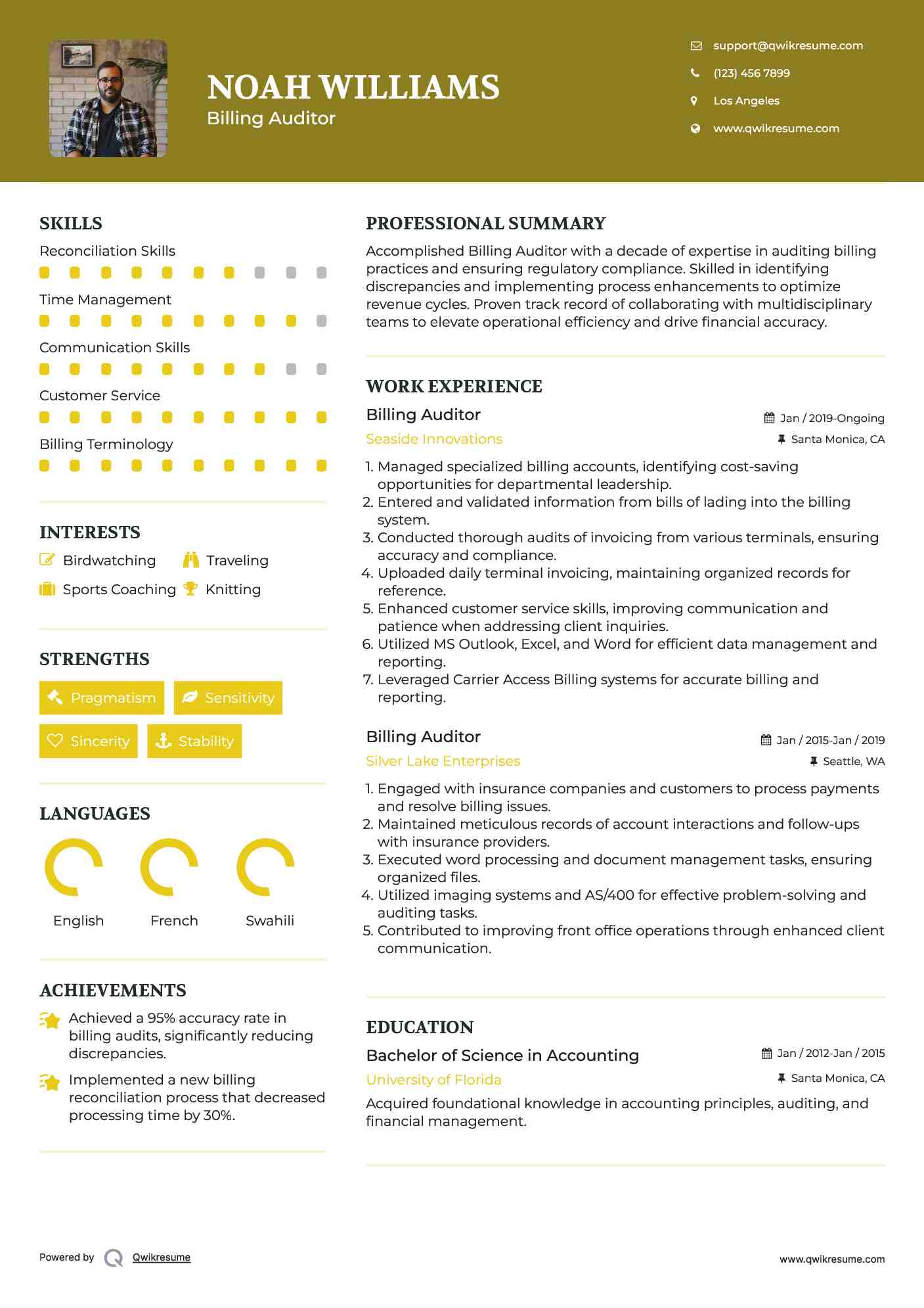Billing Auditor Resume Model