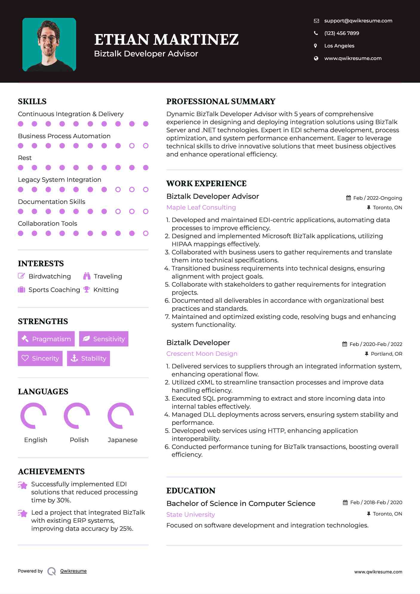 Biztalk Developer Advisor Resume Example