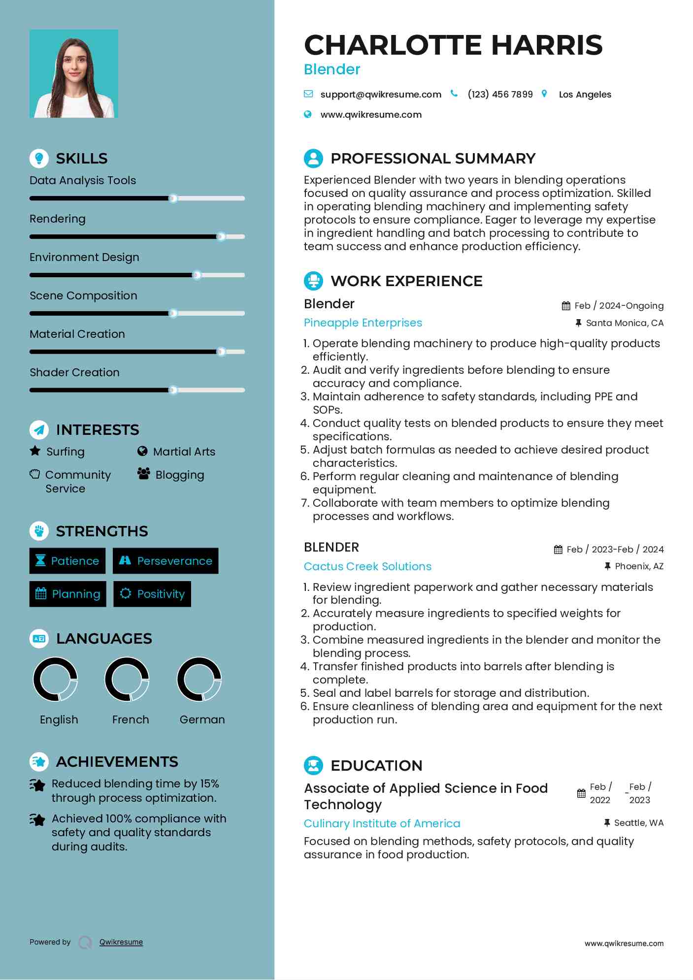 Blender Resume Sample