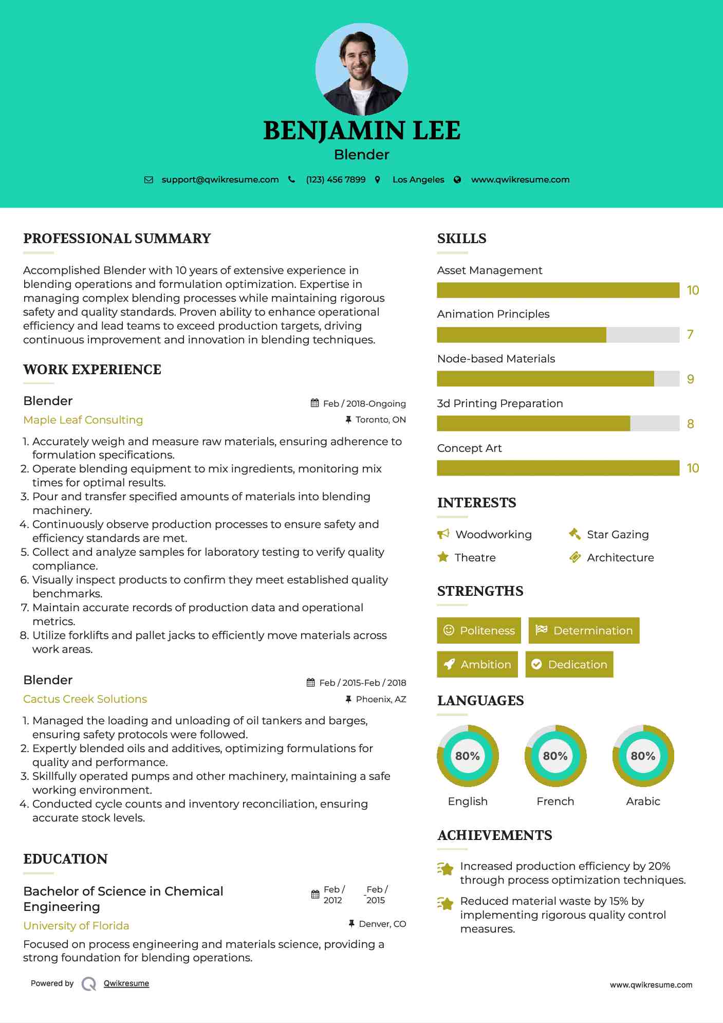 Blender Resume Sample