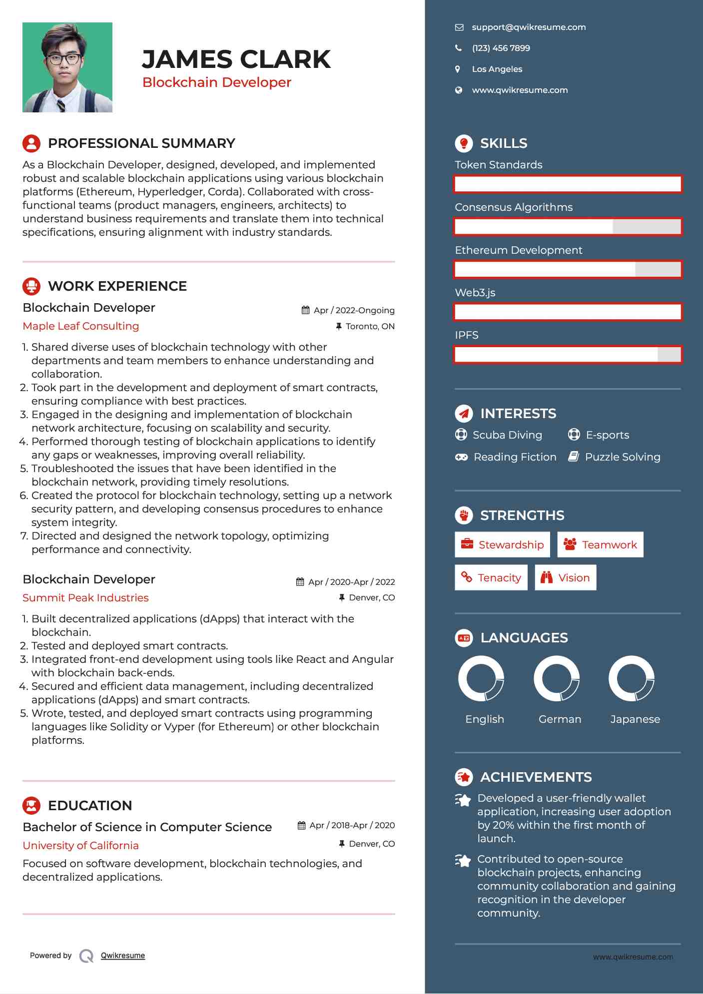Blockchain Developer Resume Template