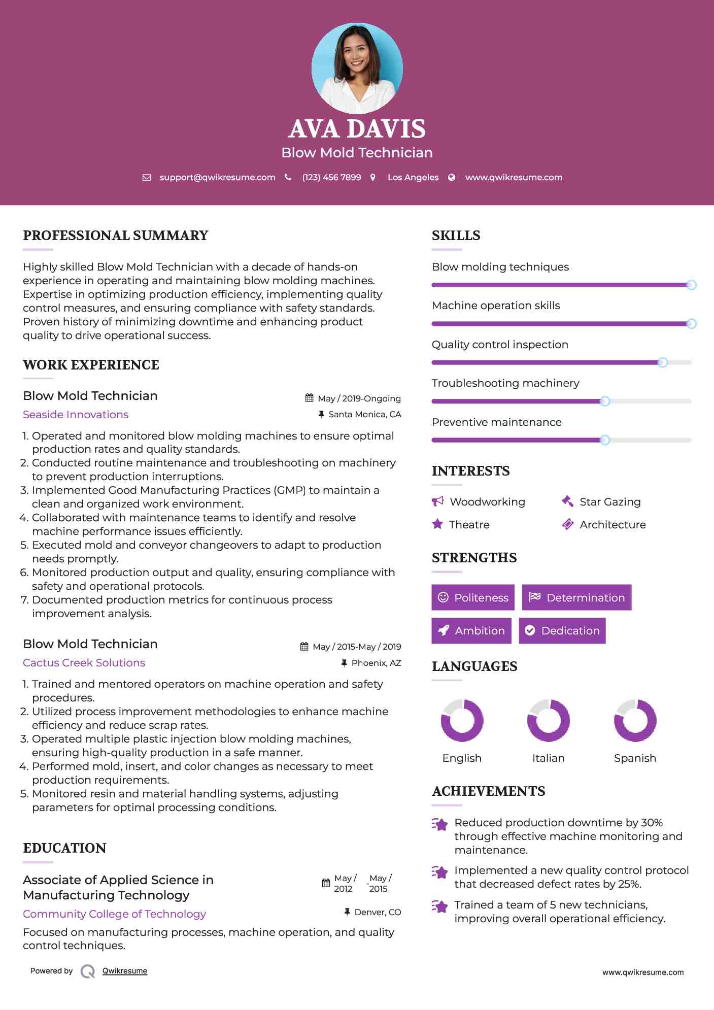Blow Mold Technician Resume Template