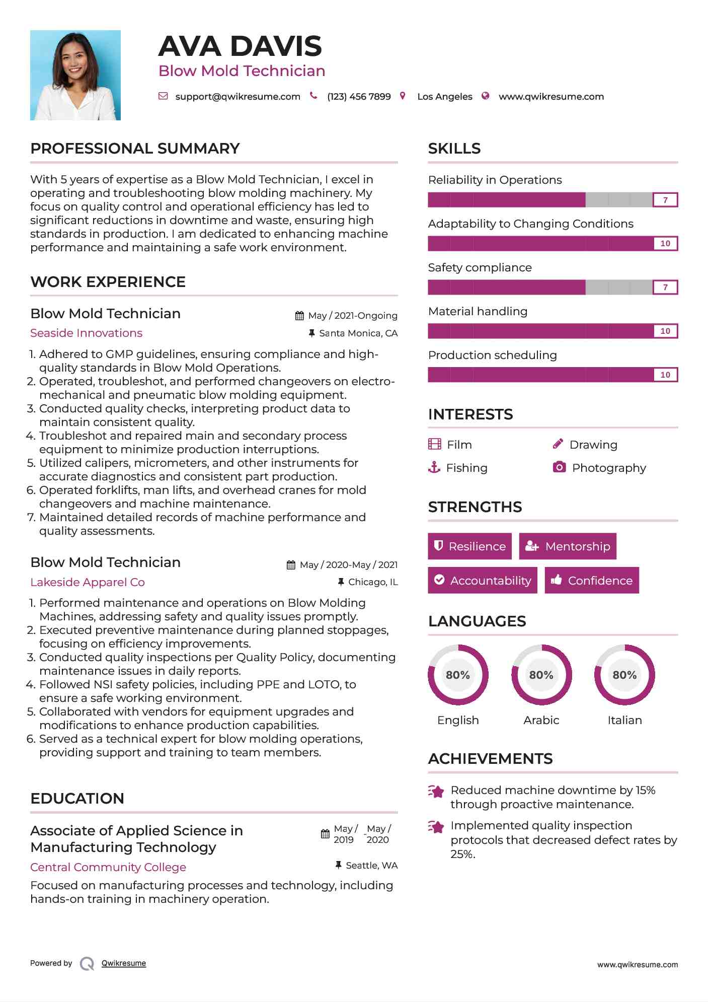 Blow Mold Technician Resume Template
