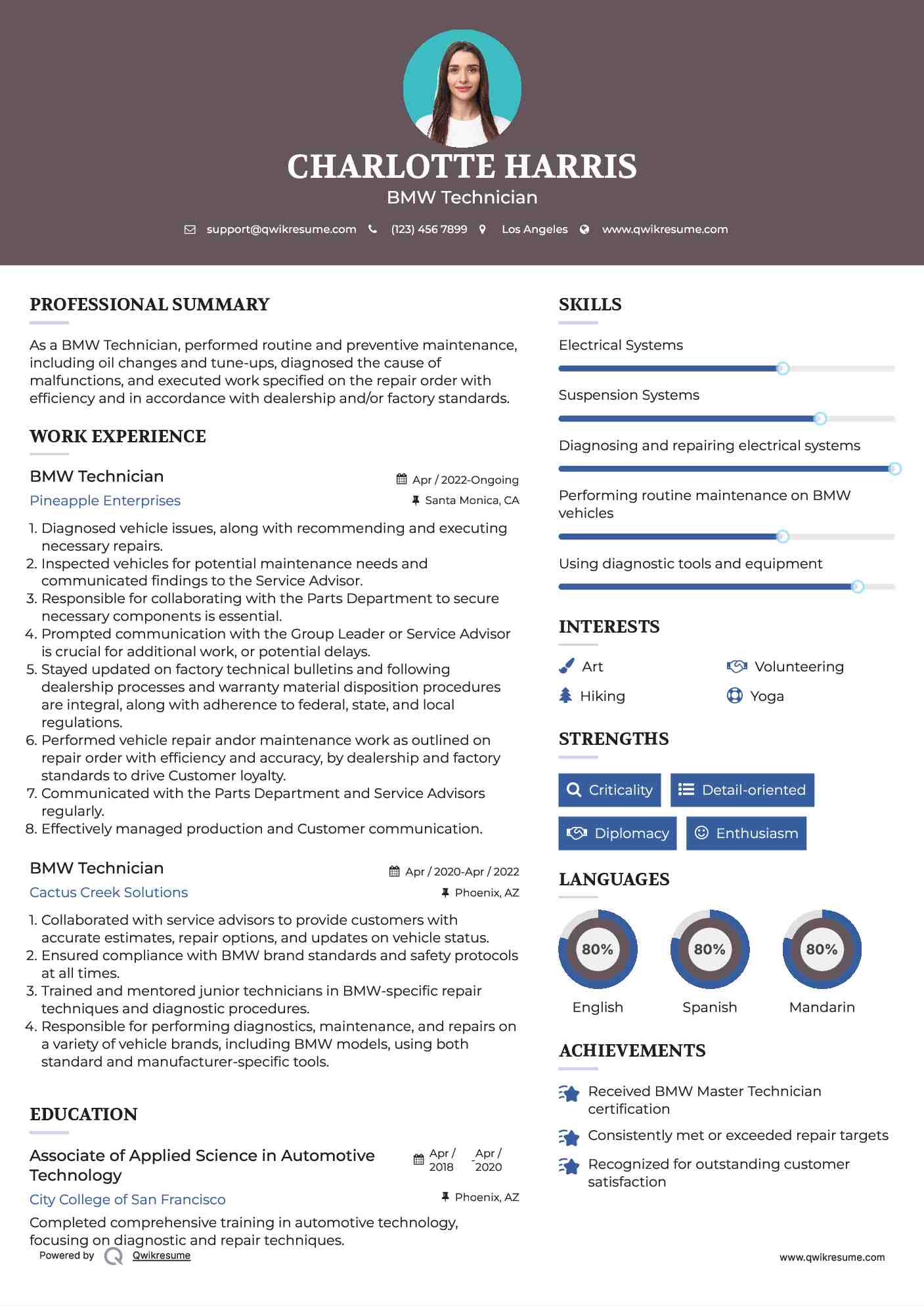 BMW Technician Resume Model