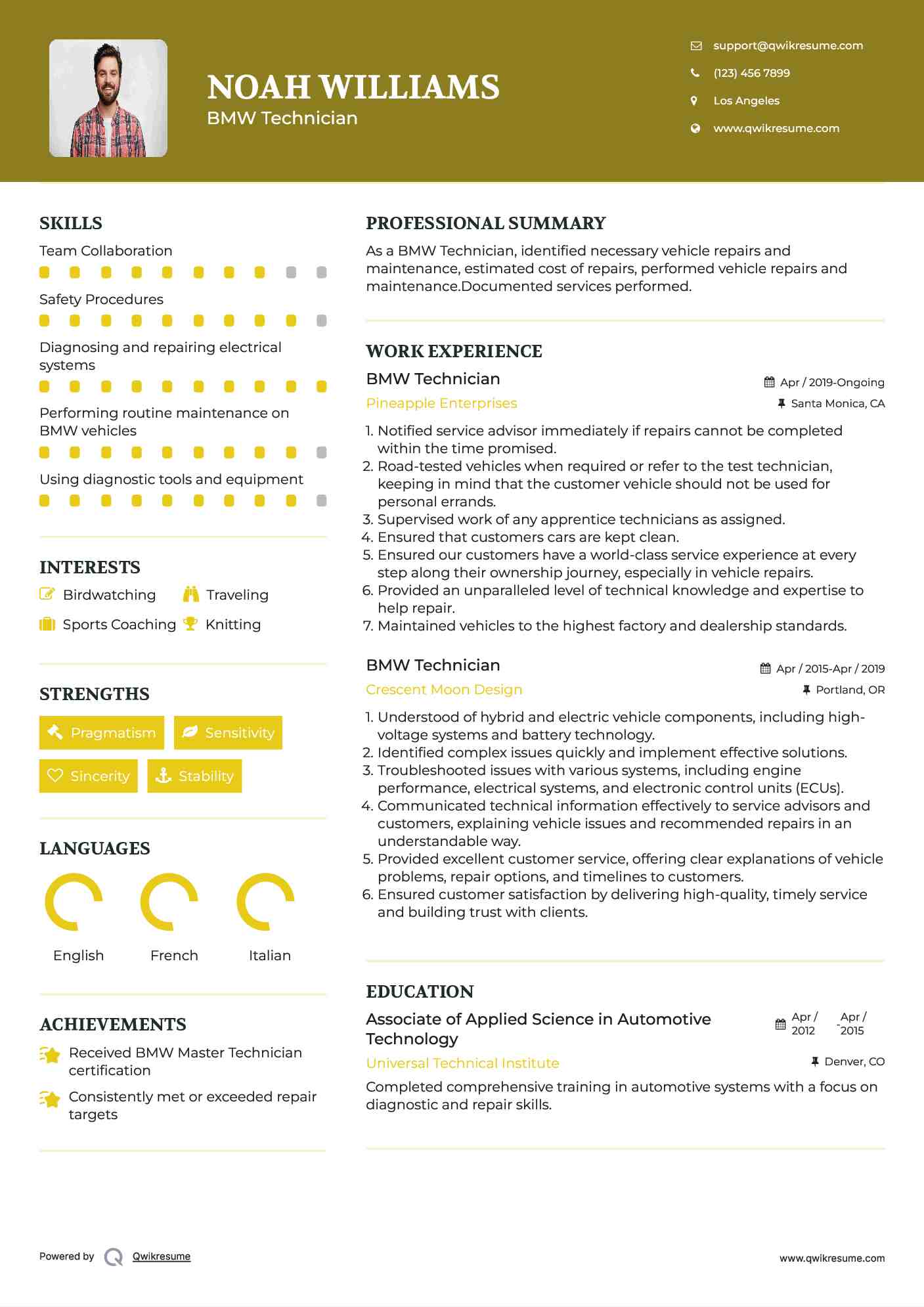 BMW Technician Resume Format