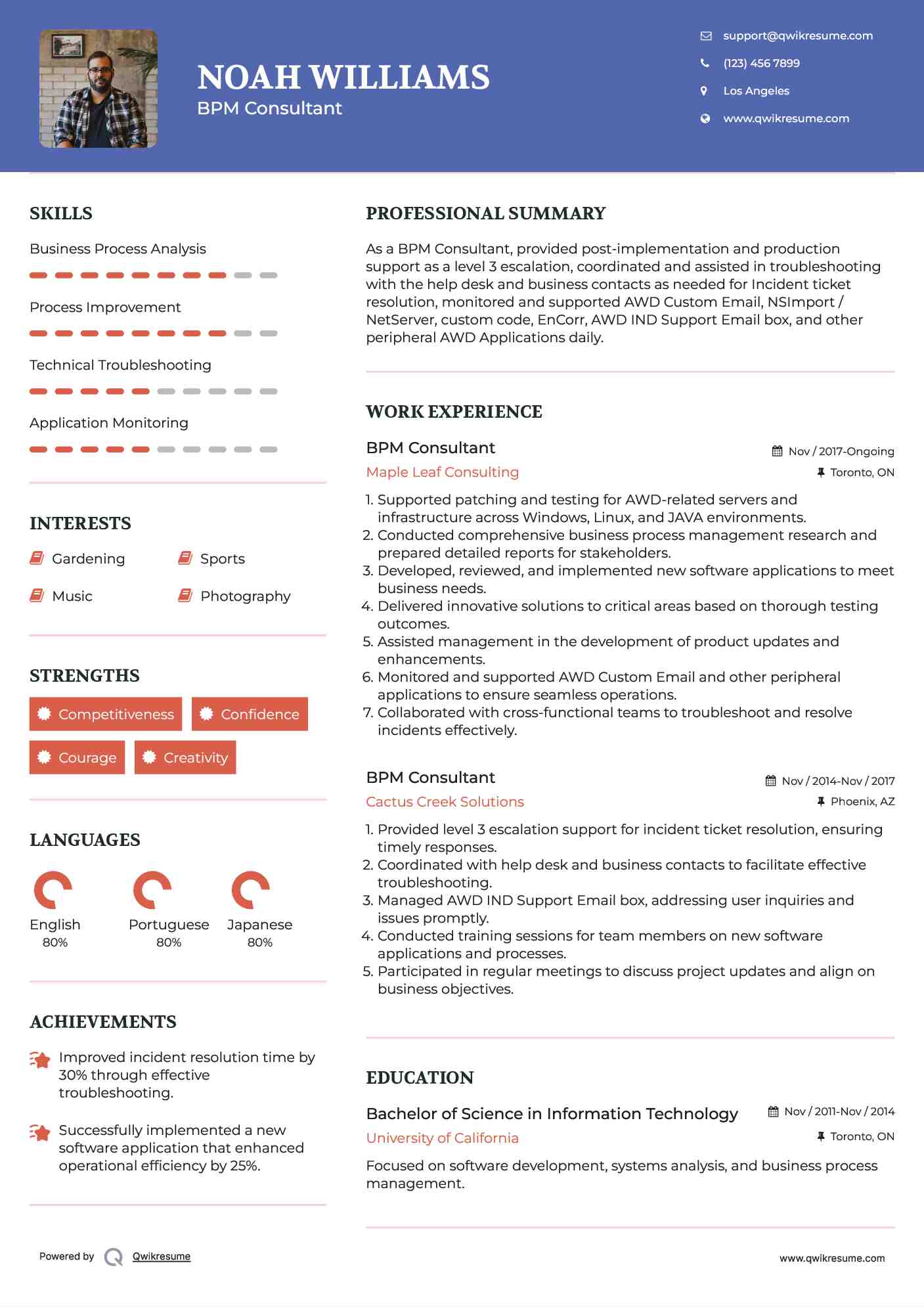 BPM Consultant Resume Model