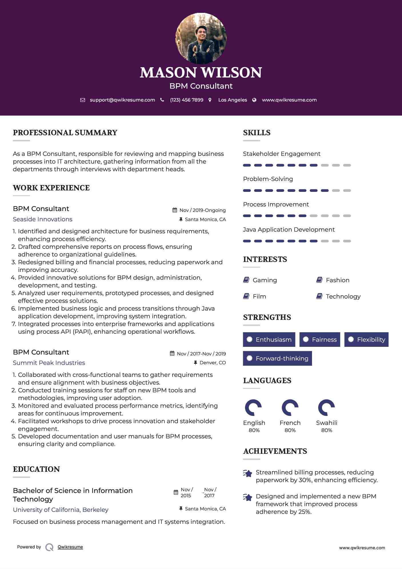 BPM Consultant Resume Sample