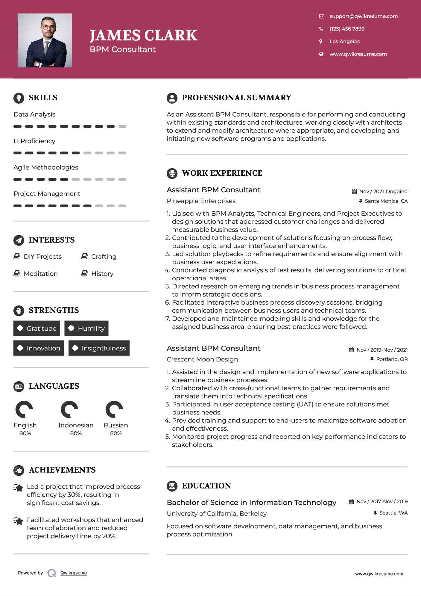 Assistant BPM Consultant Resume Sample