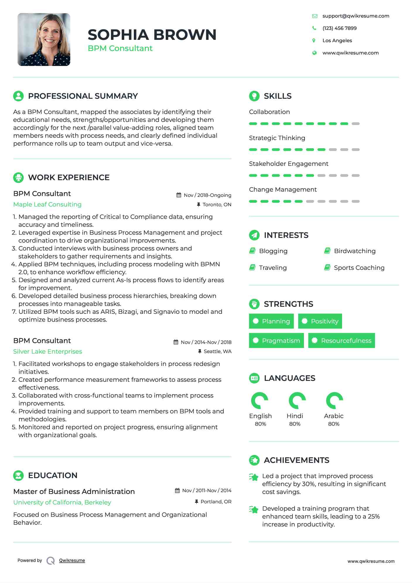 BPM Consultant Resume Template