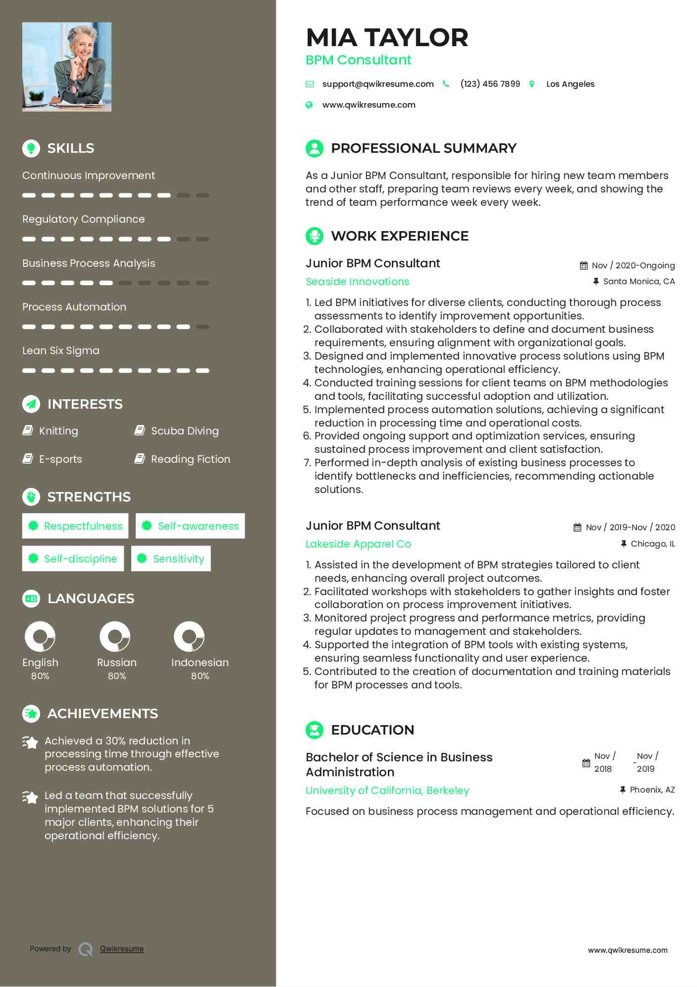 Junior BPM Consultant Resume Model