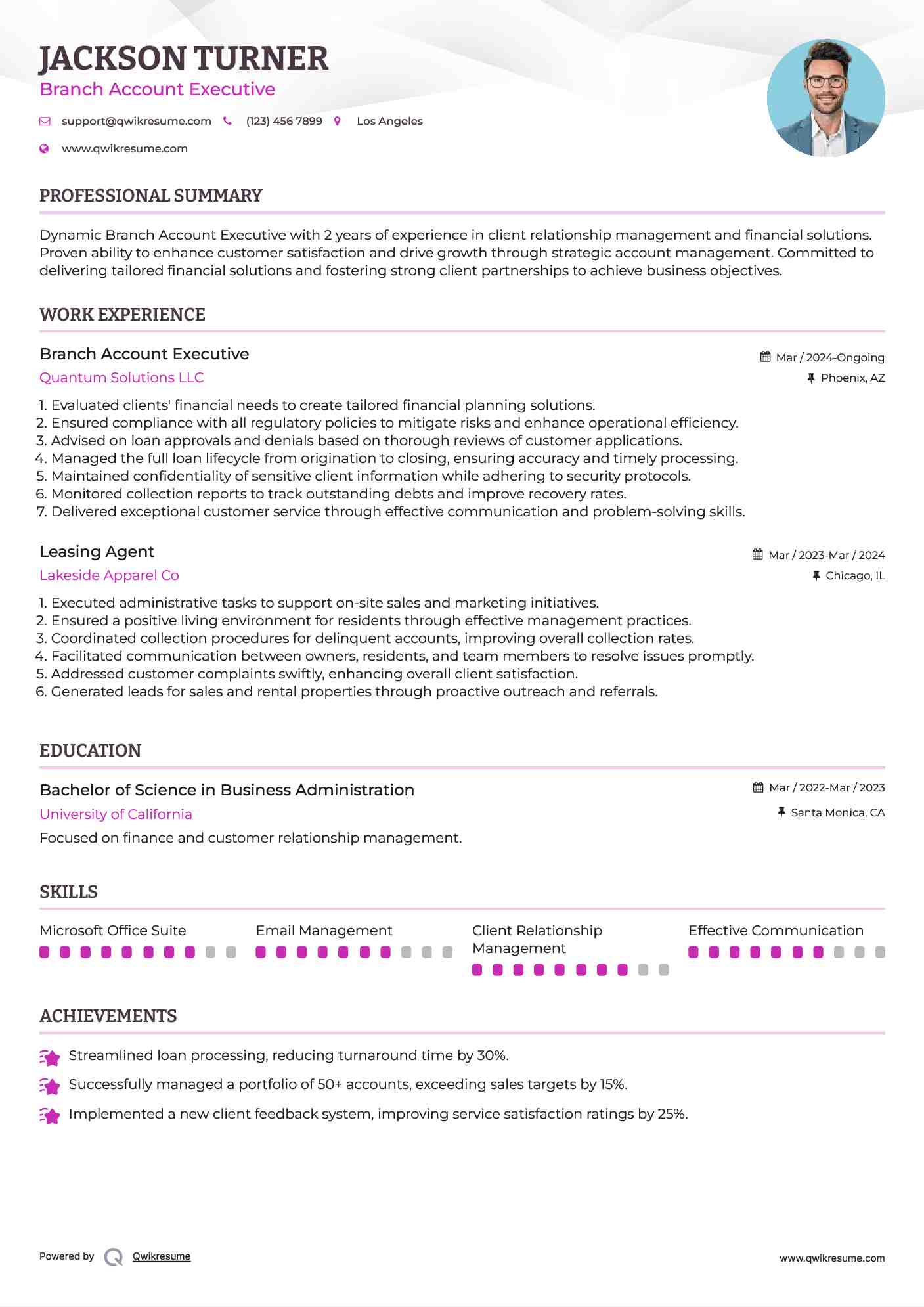 Branch Account Executive Resume Example