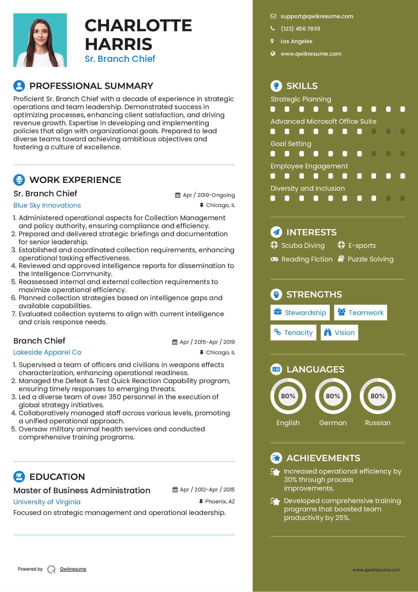 Sr. Branch Chief Resume Example