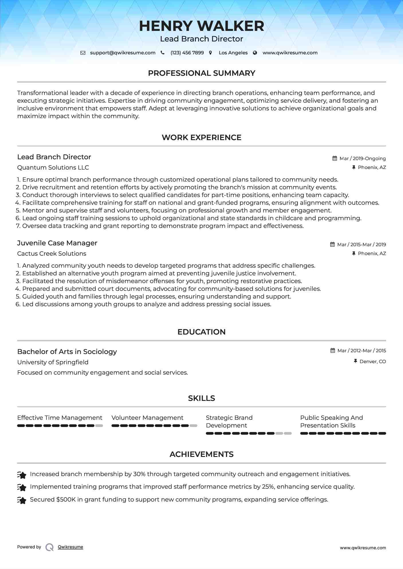 Lead Branch Director Resume Template