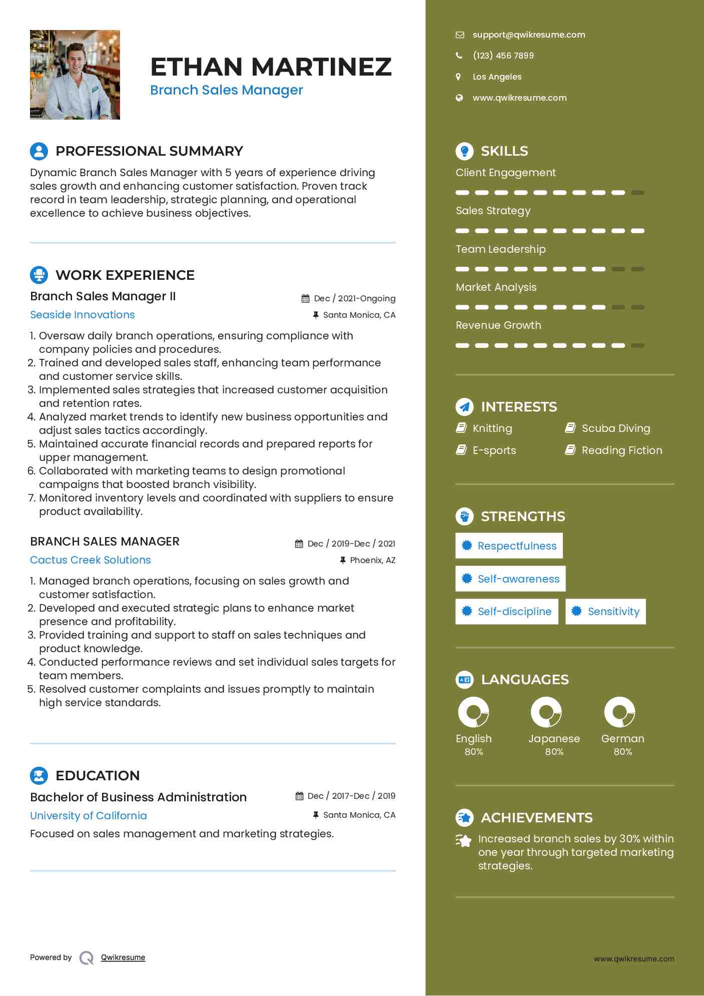 Branch Sales Manager II Resume Model