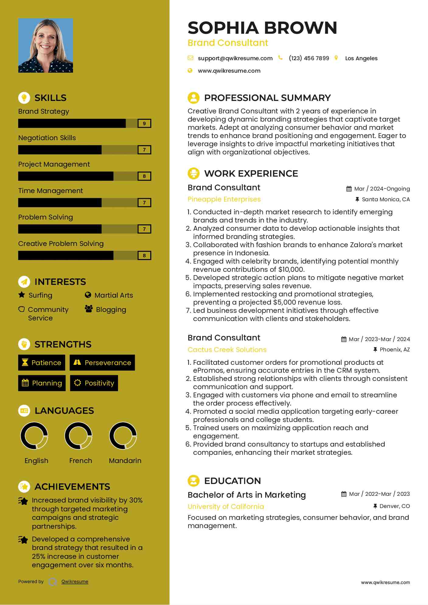 Brand Consultant Resume Format