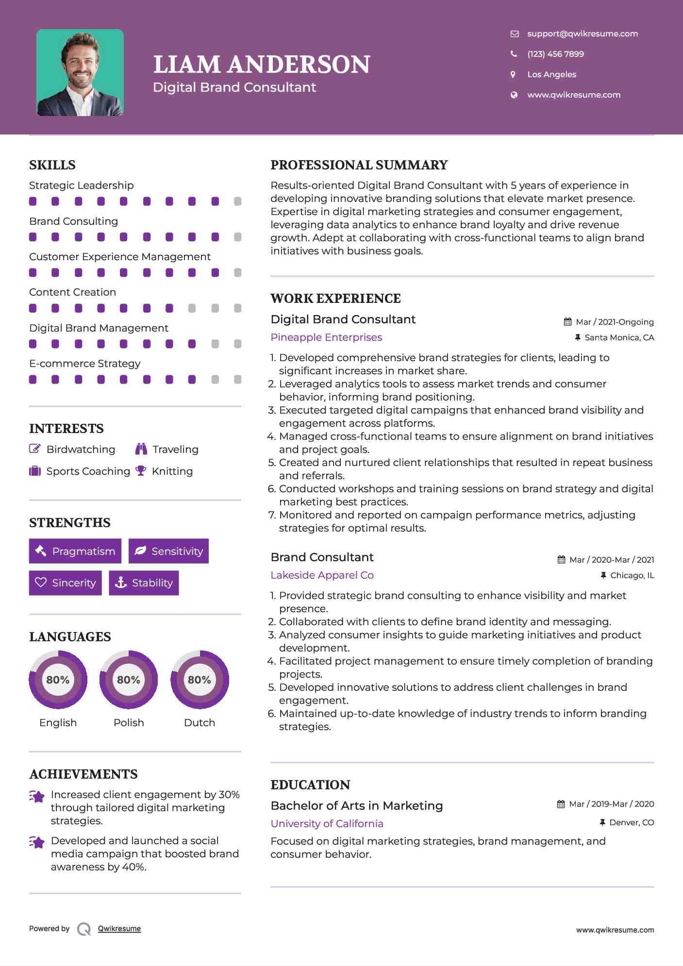 Digital Brand Consultant Resume Example