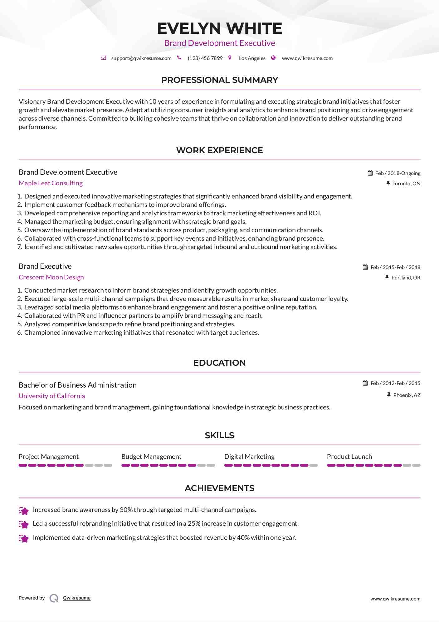 Brand Development Executive Resume Example