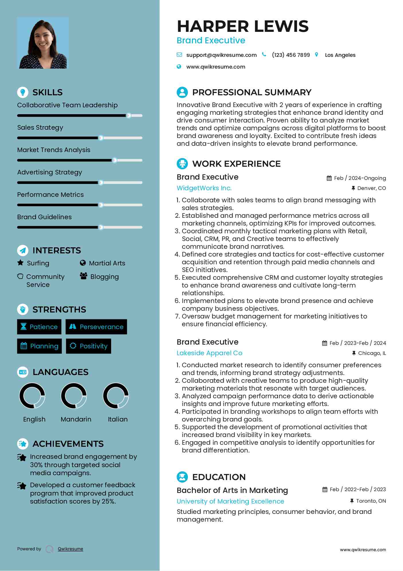 Brand Executive Resume Example