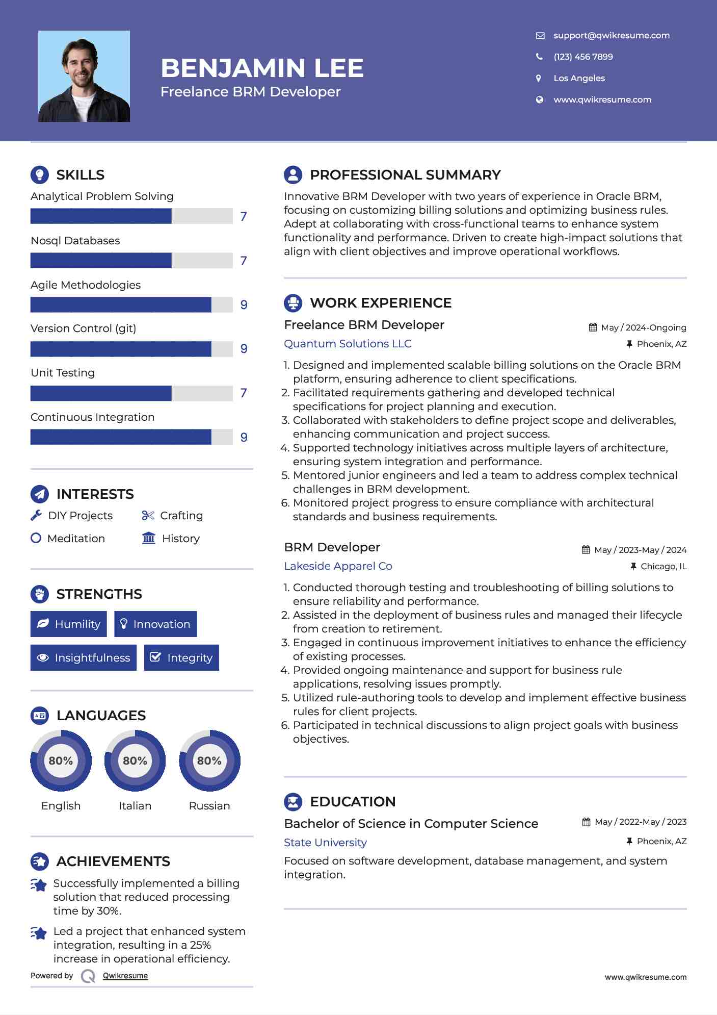 Freelance BRM Developer Resume Template